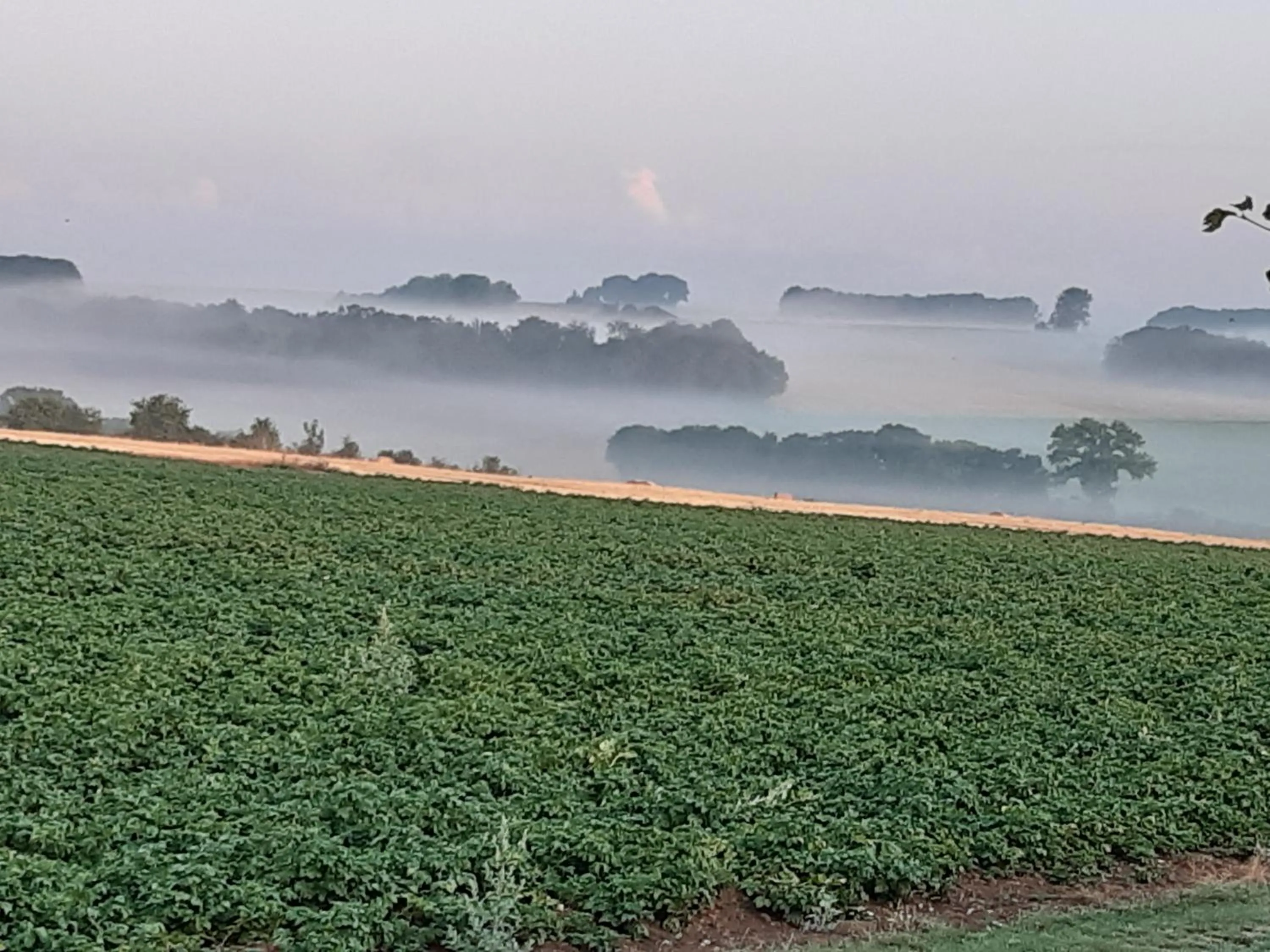 Natural landscape in Les Alouettes B&B