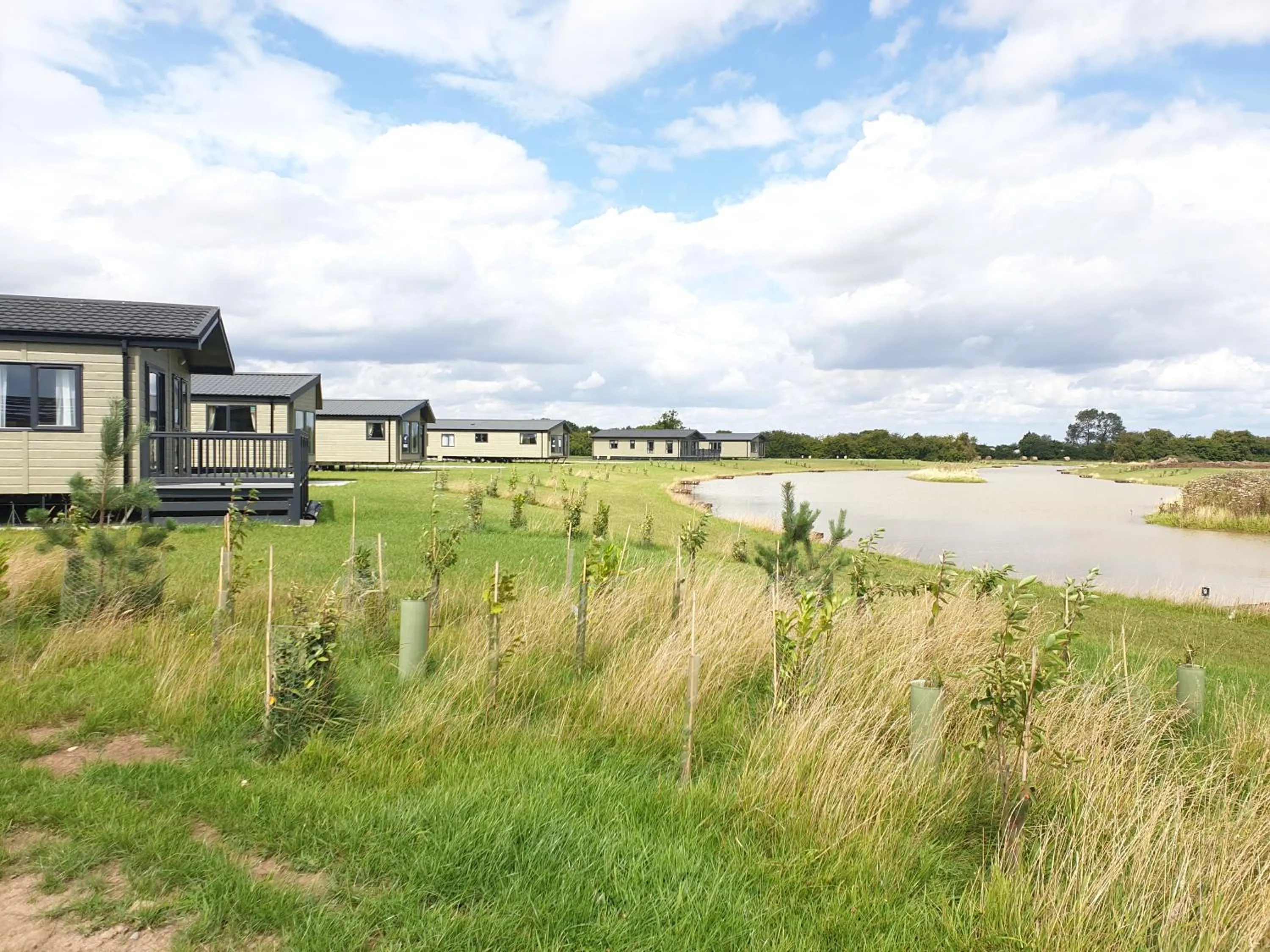 Natural landscape in Home Farm Park