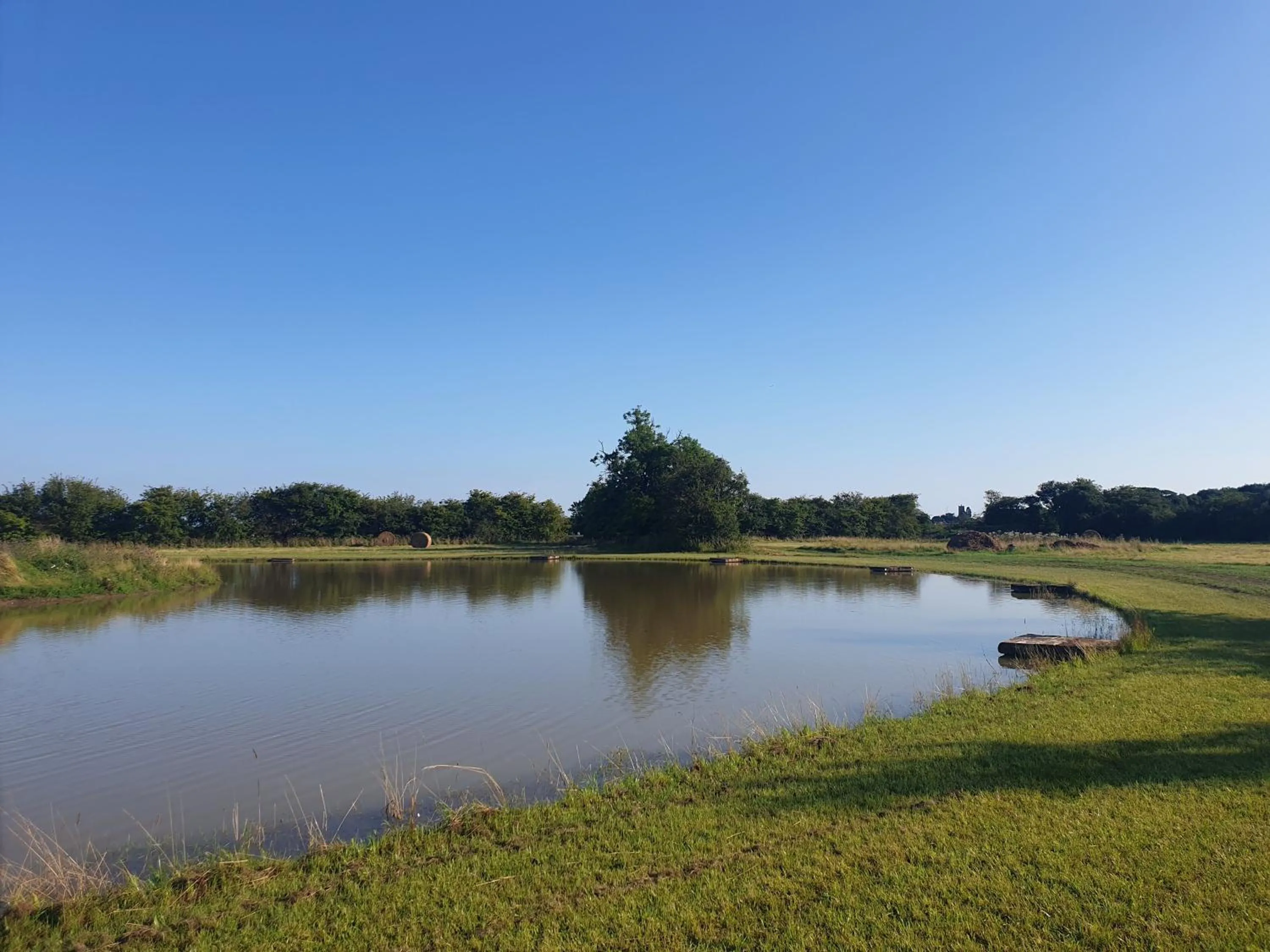 Natural landscape in Home Farm Park