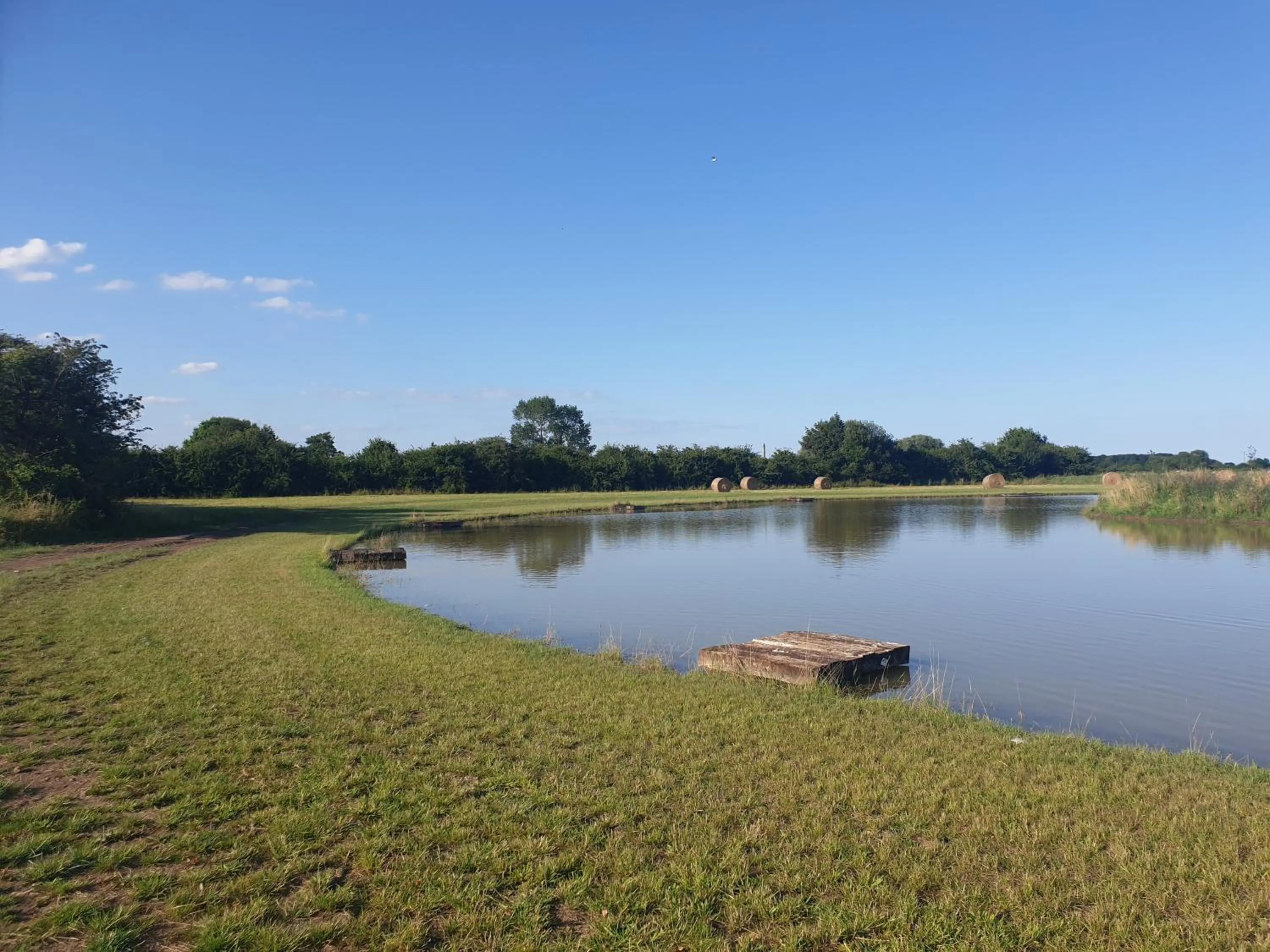 Natural landscape in Home Farm Park