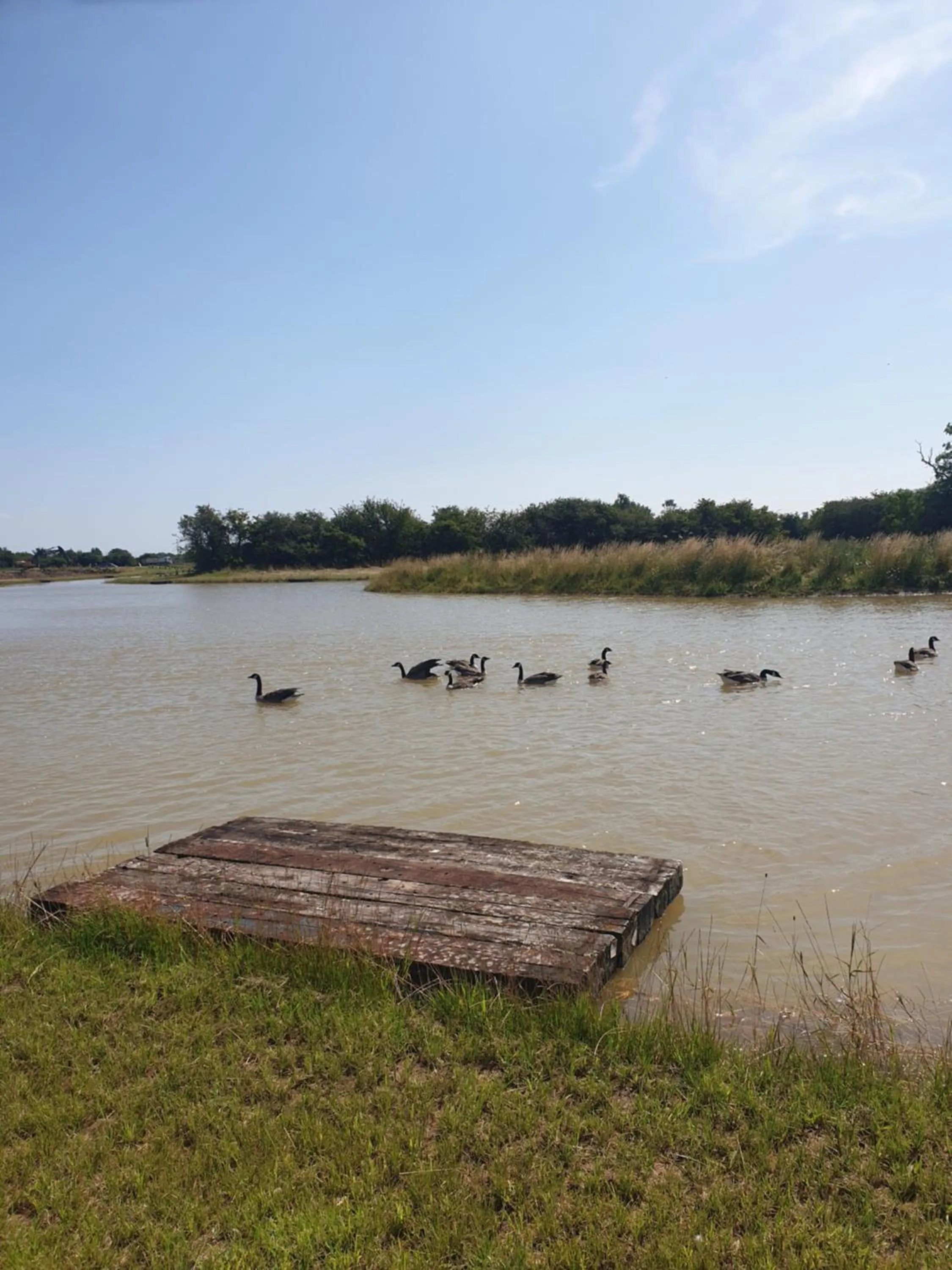 Natural landscape in Home Farm Park