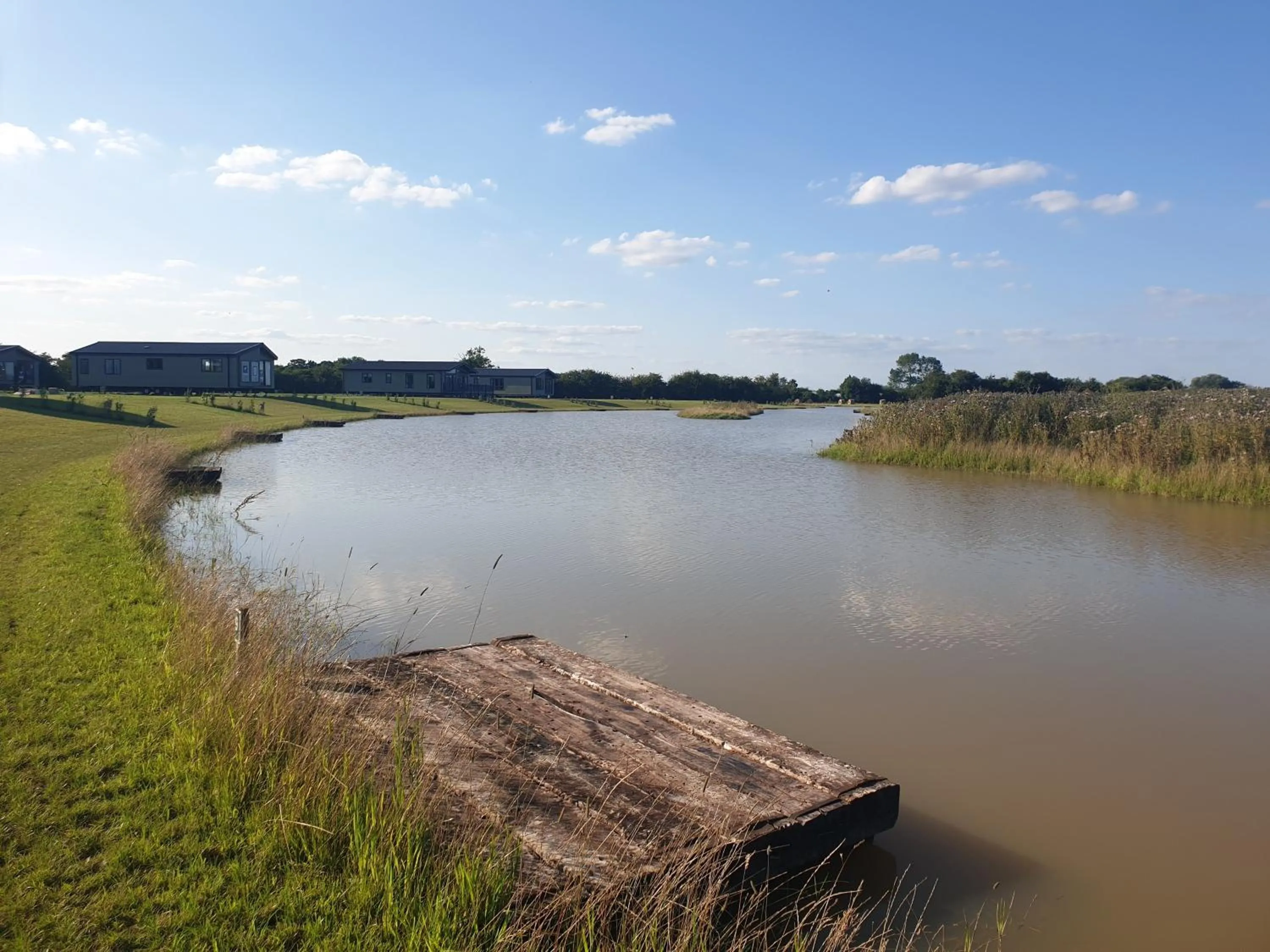 Natural landscape in Home Farm Park