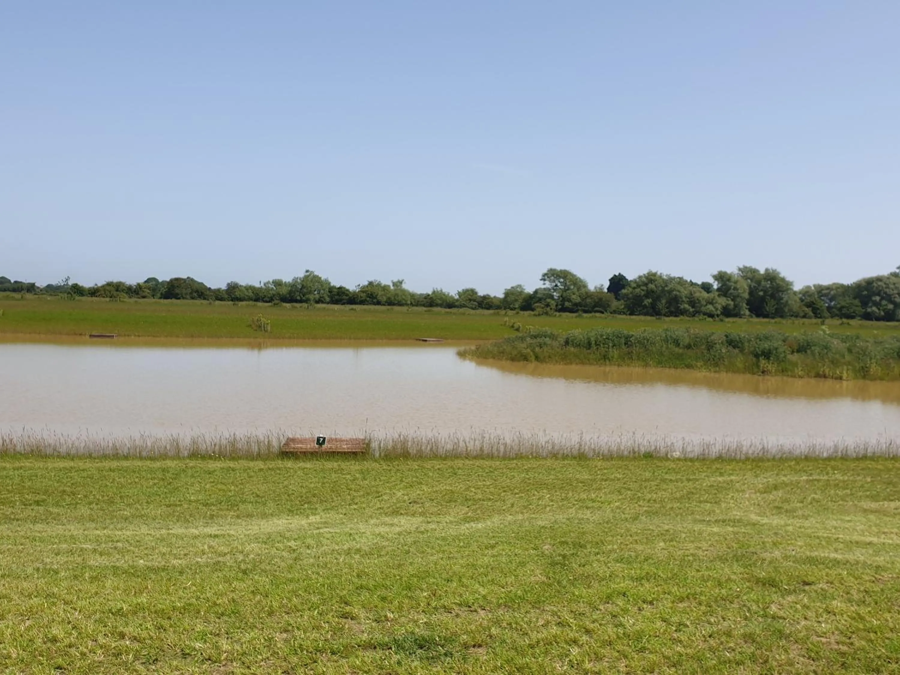 Natural landscape in Home Farm Park