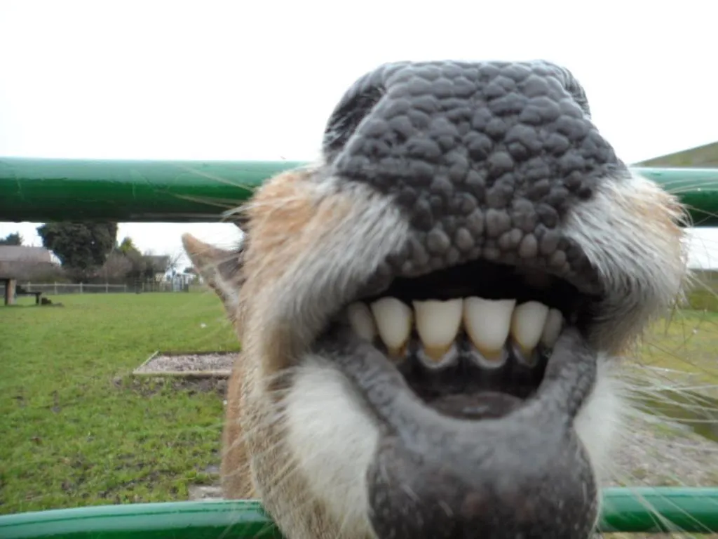 Other in The Stables - Deer Park Farm