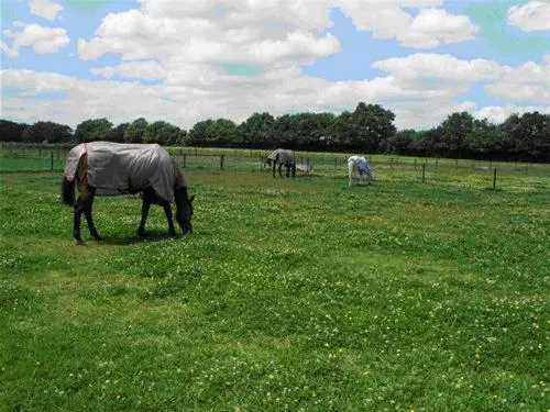 Natural landscape in The Stables - Deer Park Farm