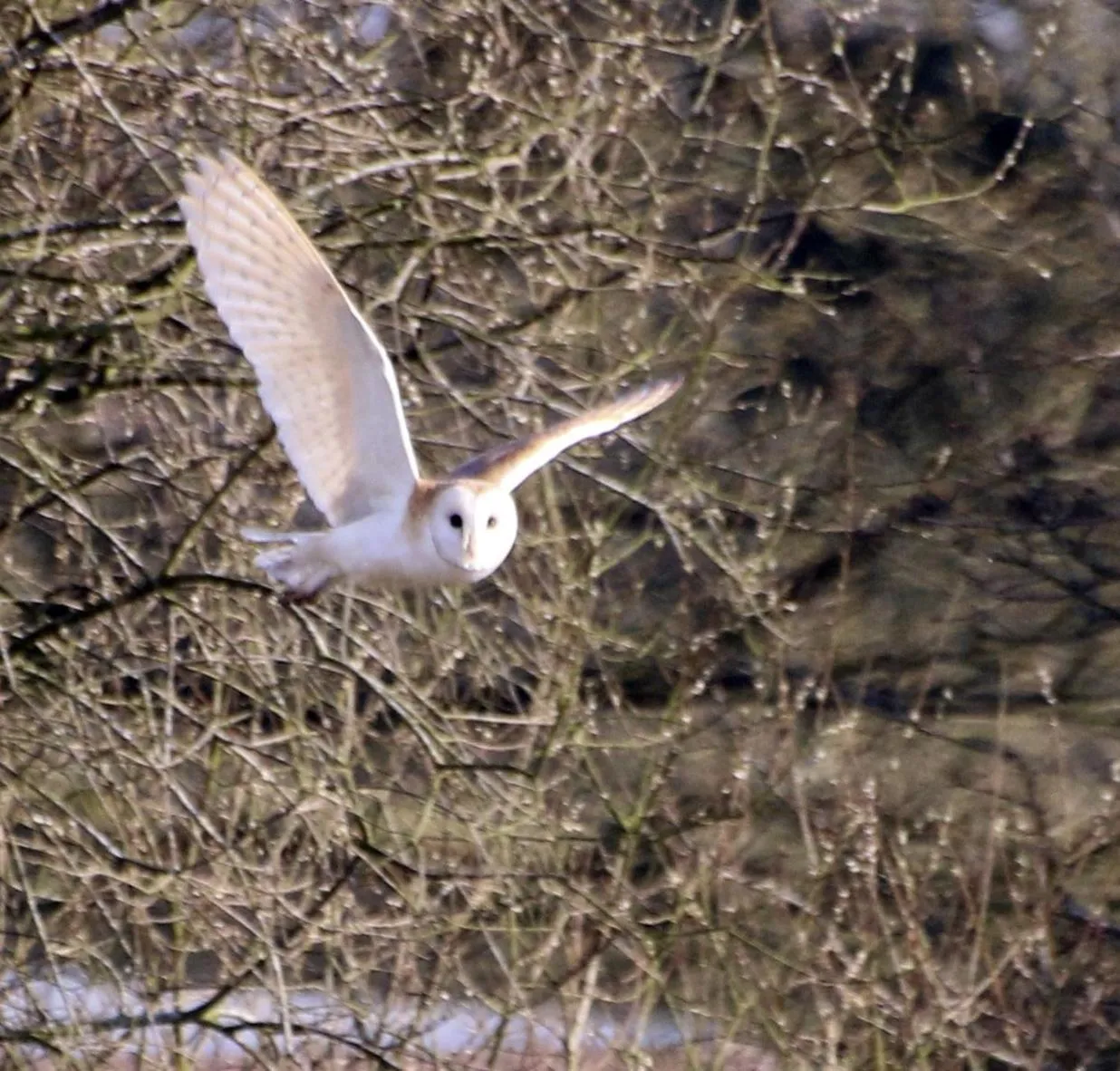 Other in The Stables - Deer Park Farm