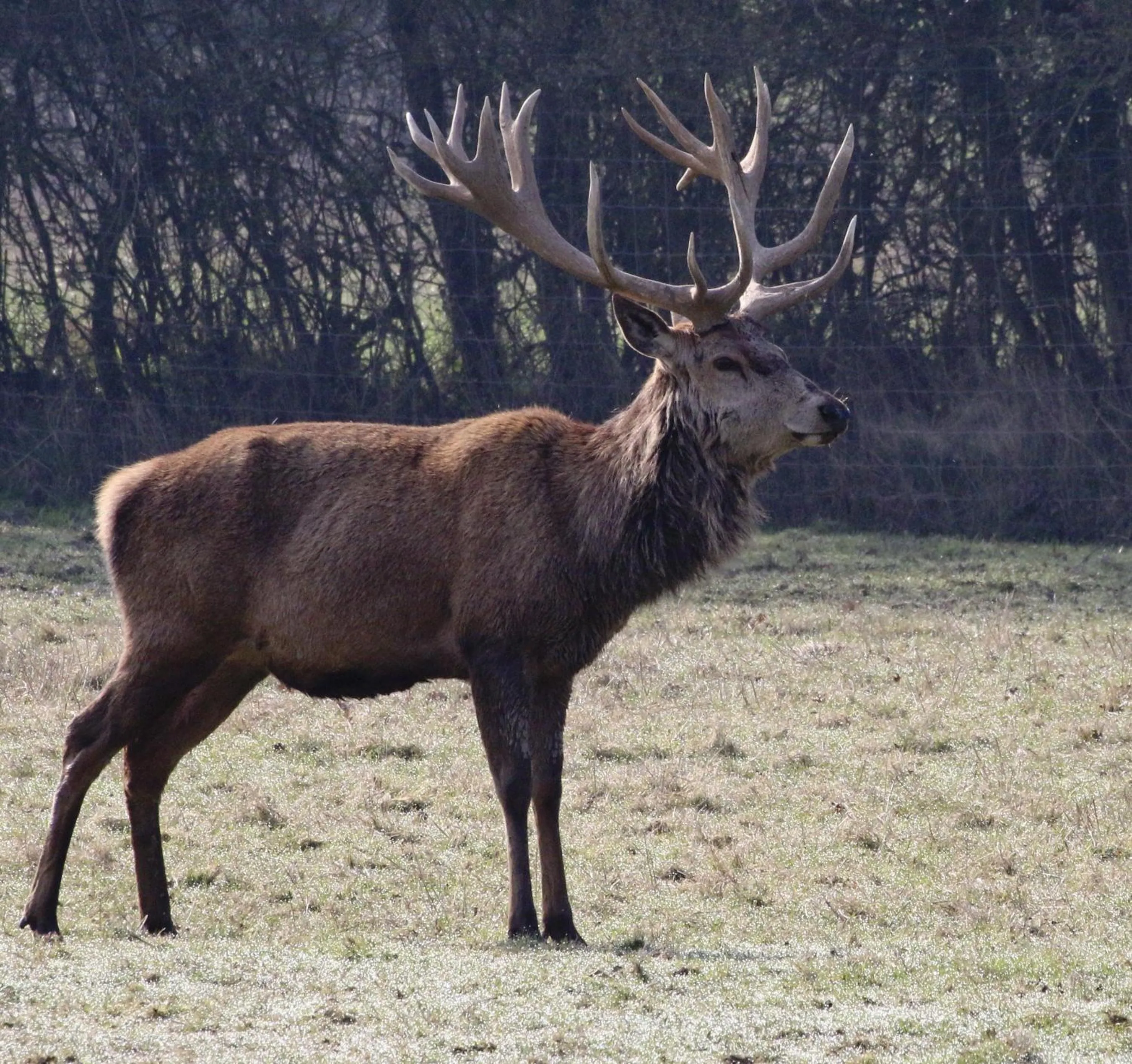 View (from property/room) in The Stables - Deer Park Farm