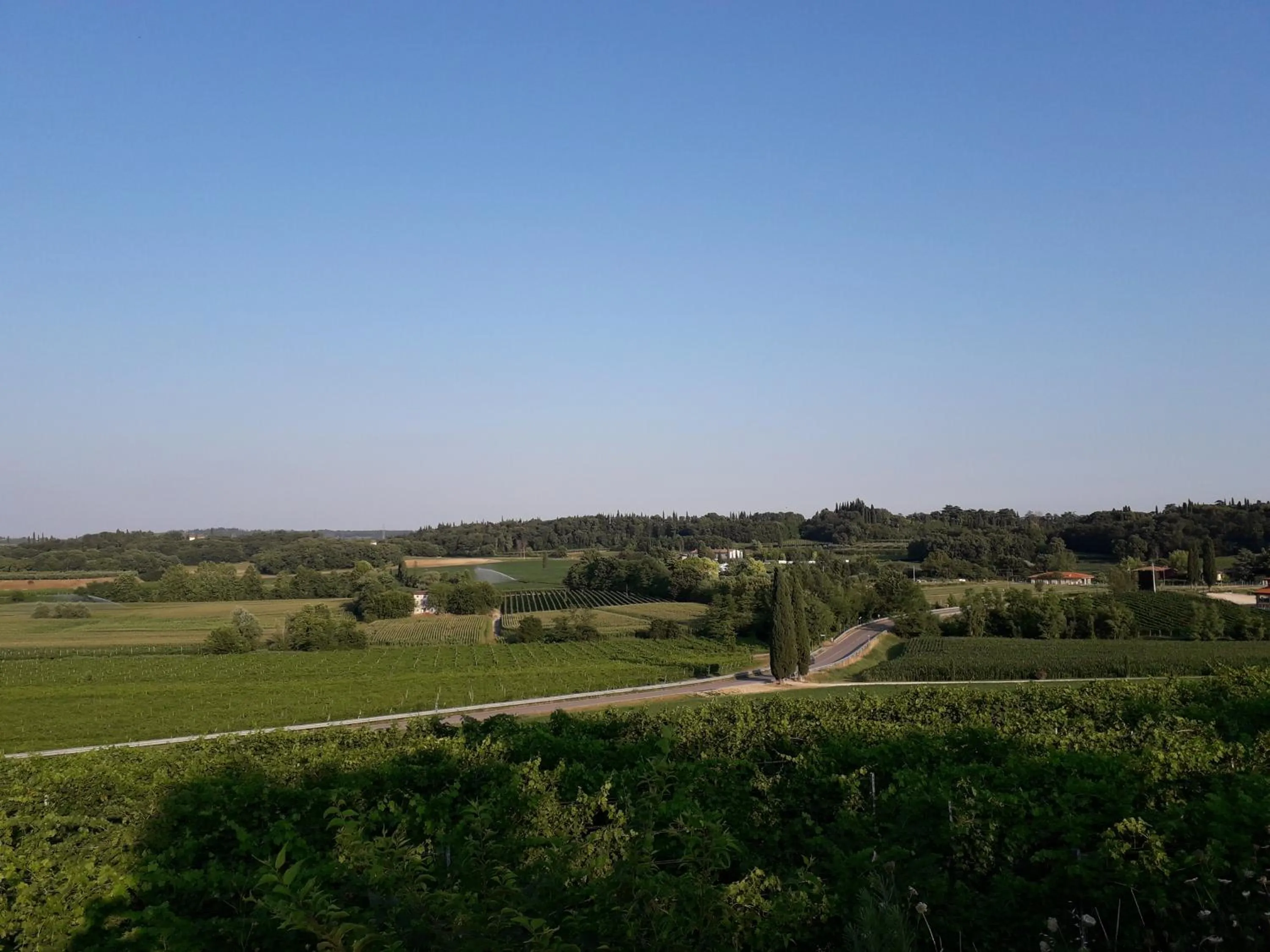 Neighbourhood in B&B I Tre Olivi