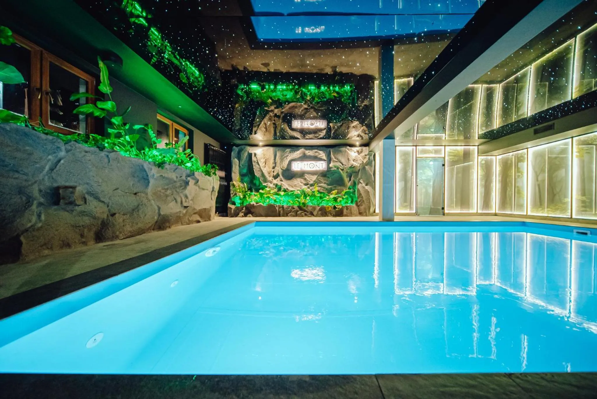 Pool view in Hotel Le Mont Medical & SPA
