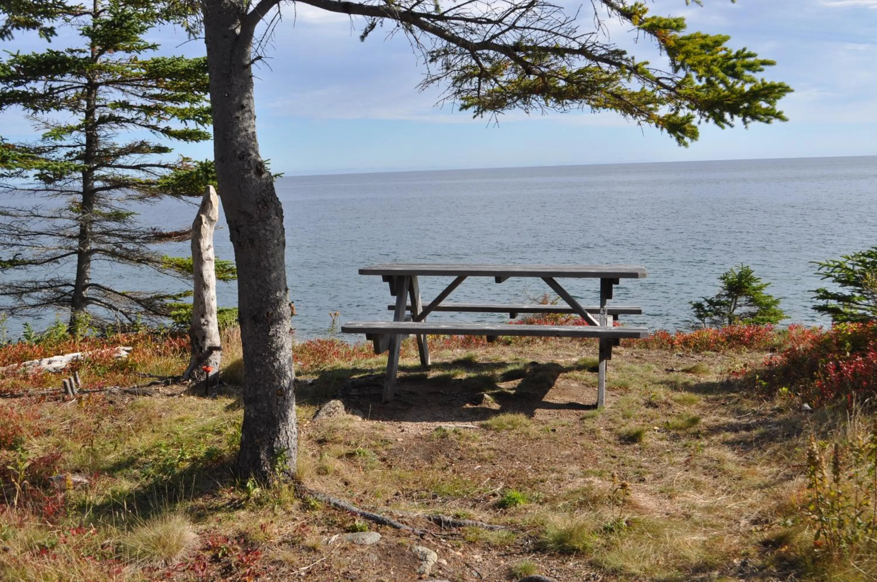 Garden in The Sleeping Moose Cottage