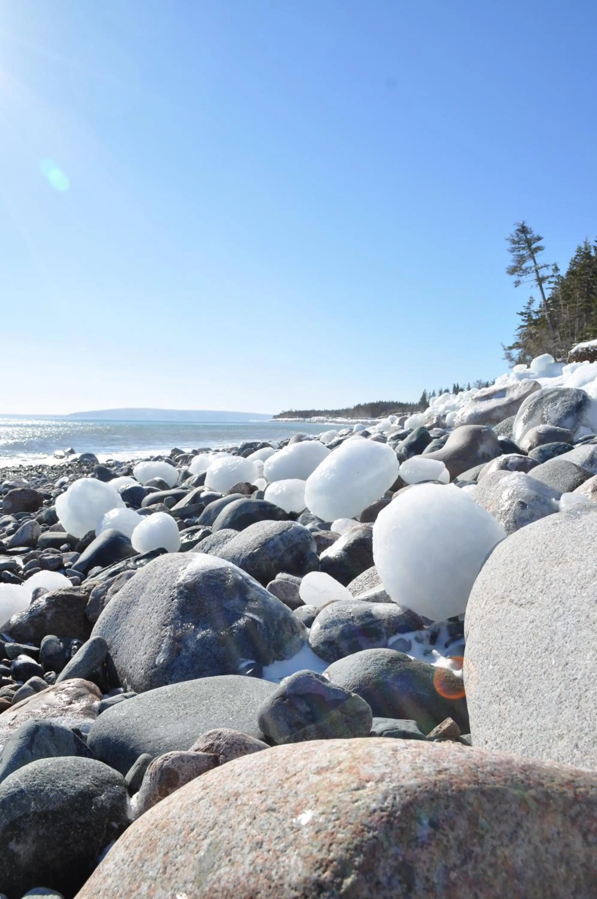 Winter in The Sleeping Moose Cottage
