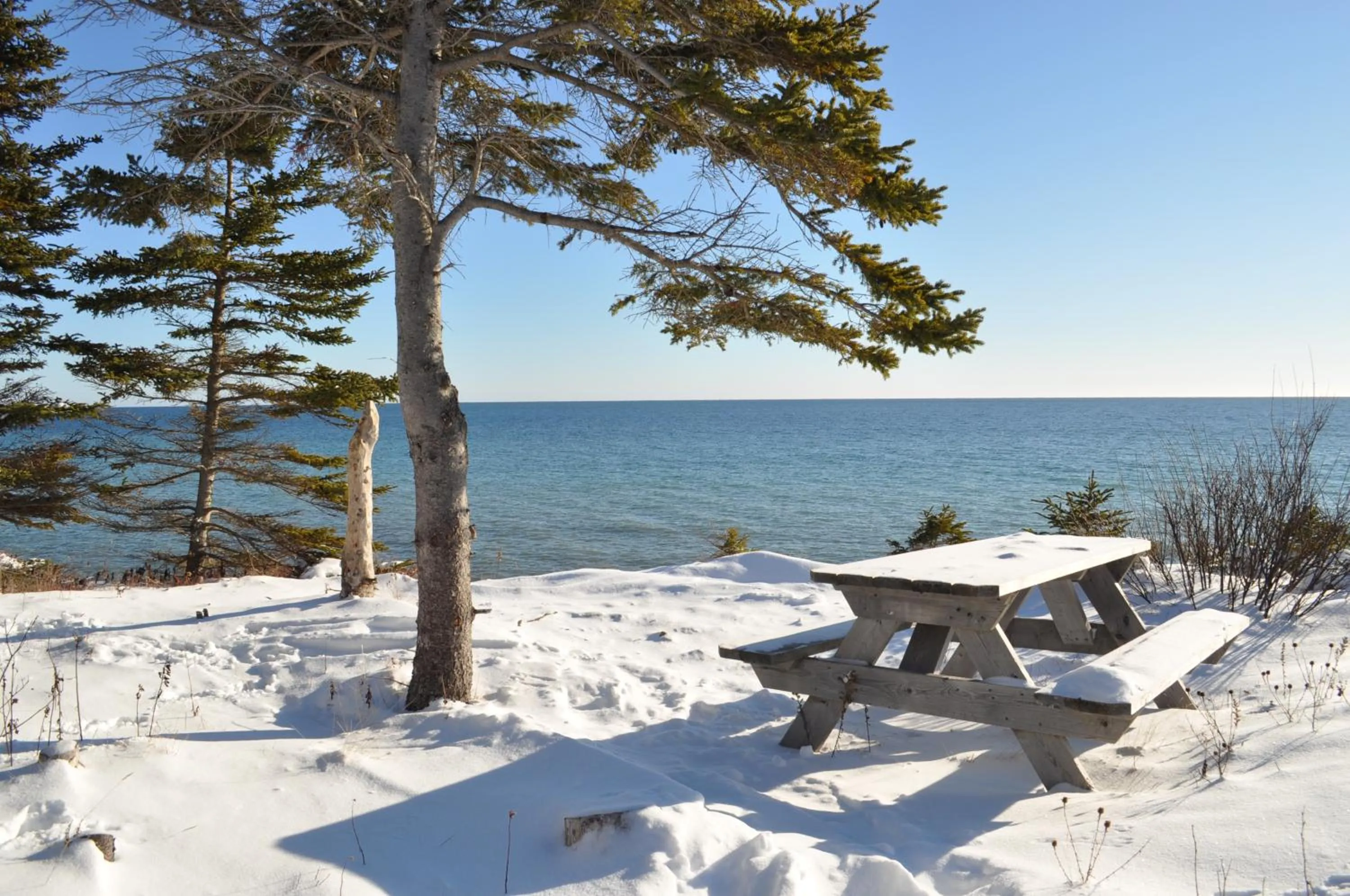 Garden in The Sleeping Moose Cottage
