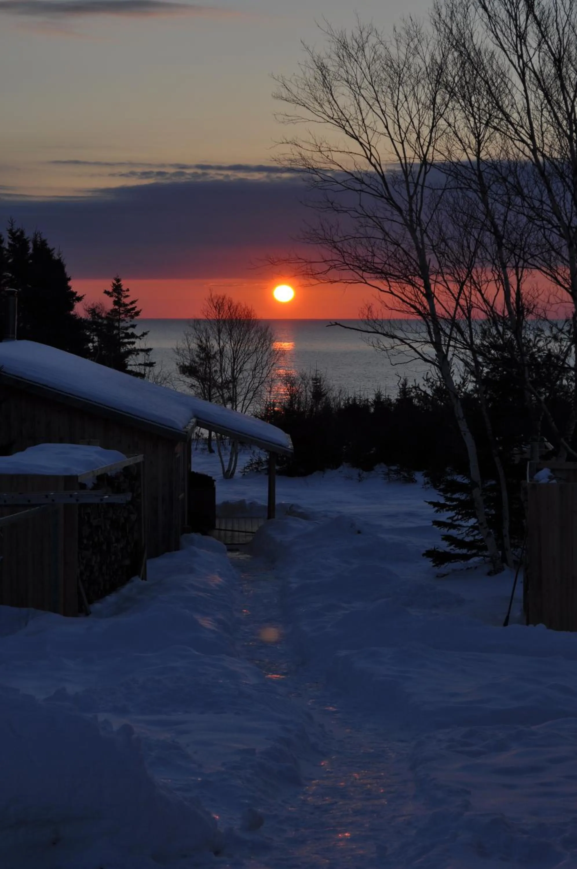 Winter in The Sleeping Moose Cottage