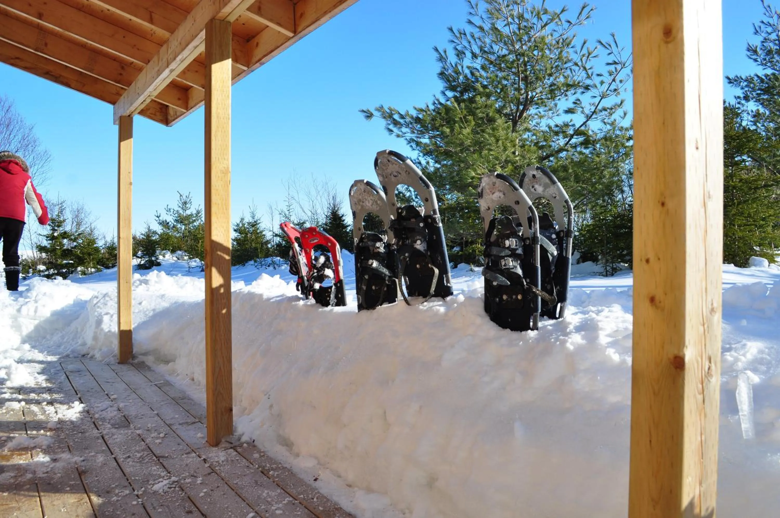 Winter in The Sleeping Moose Cottage
