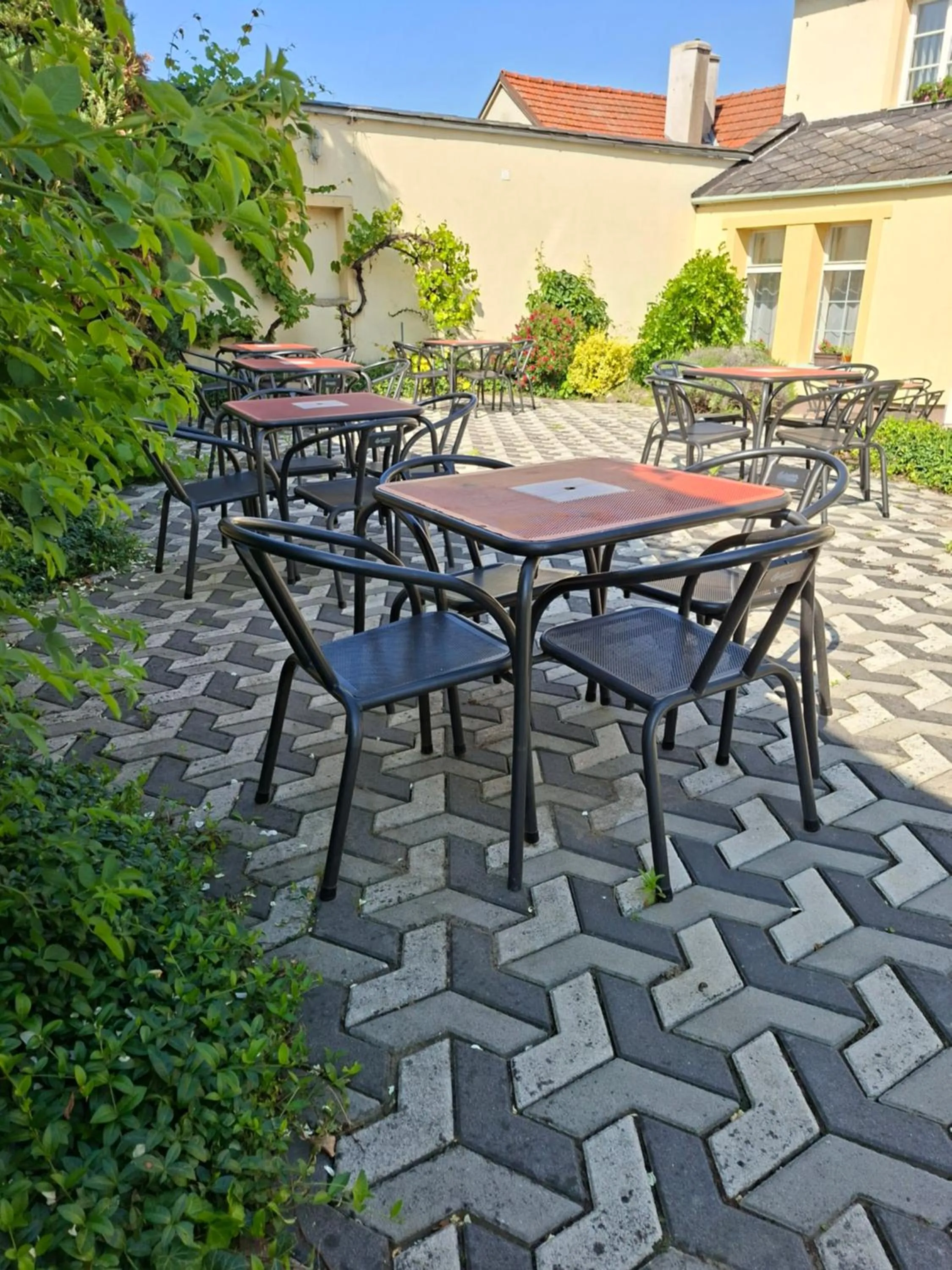 Patio in Hotel Alster