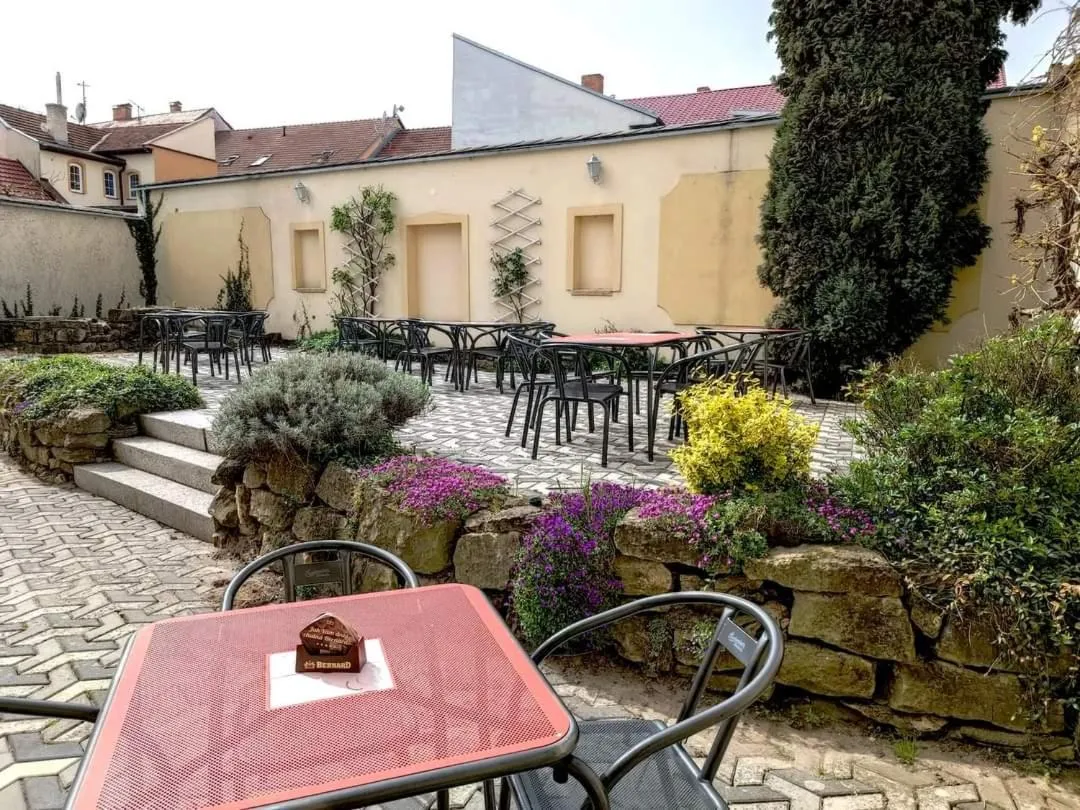 Garden view in Hotel Alster