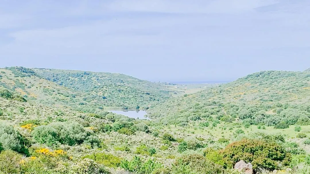 Lake view in Residence Hotel Monte Ricciu