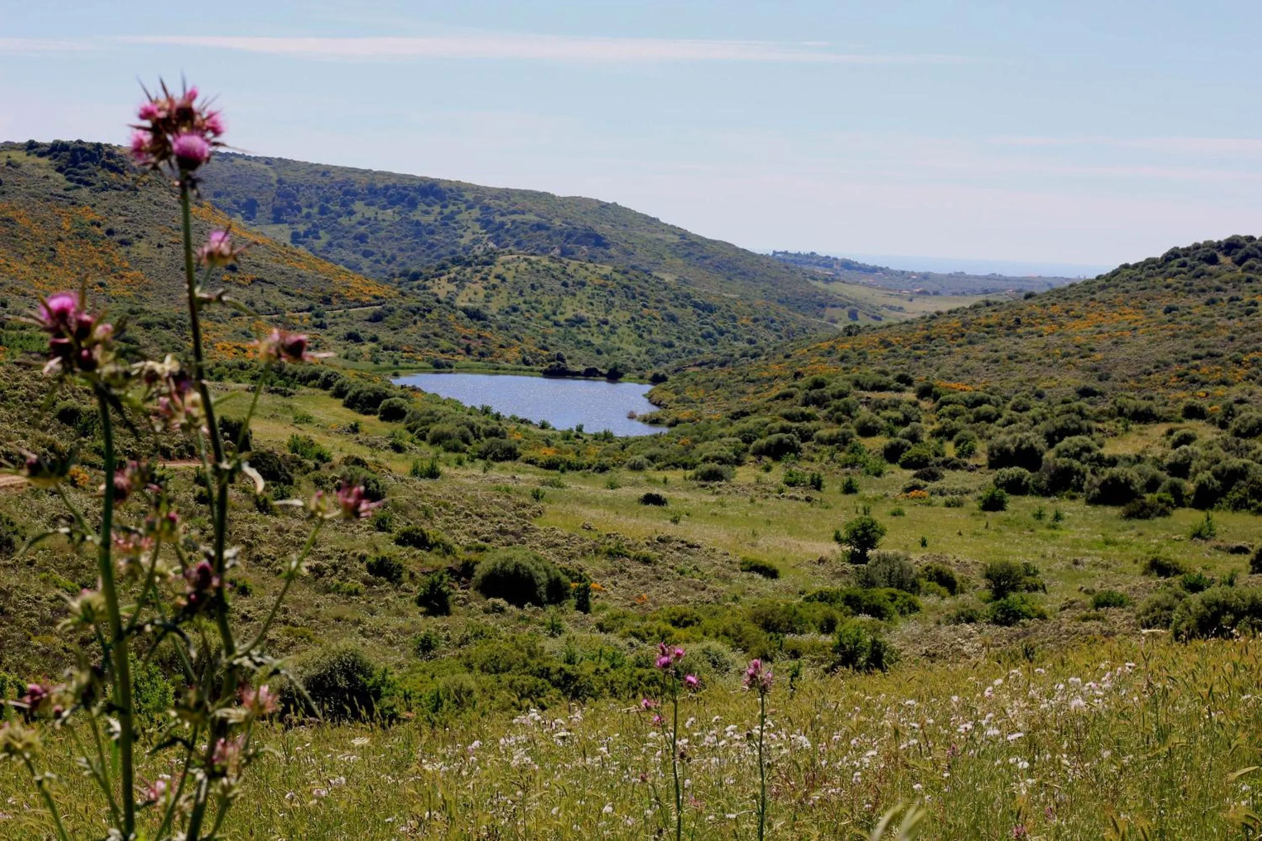 Area and facilities in Residence Hotel Monte Ricciu