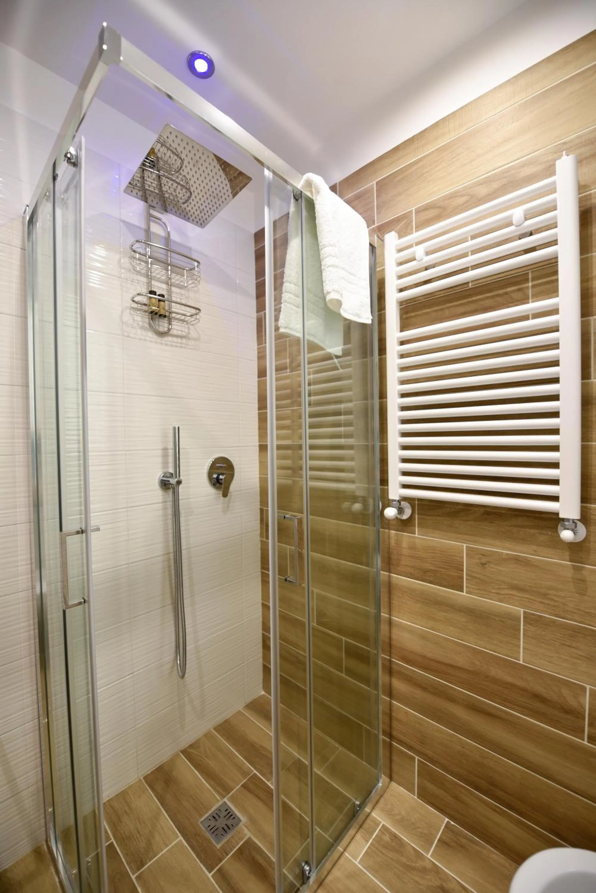 Shower in B&B CasaZeni