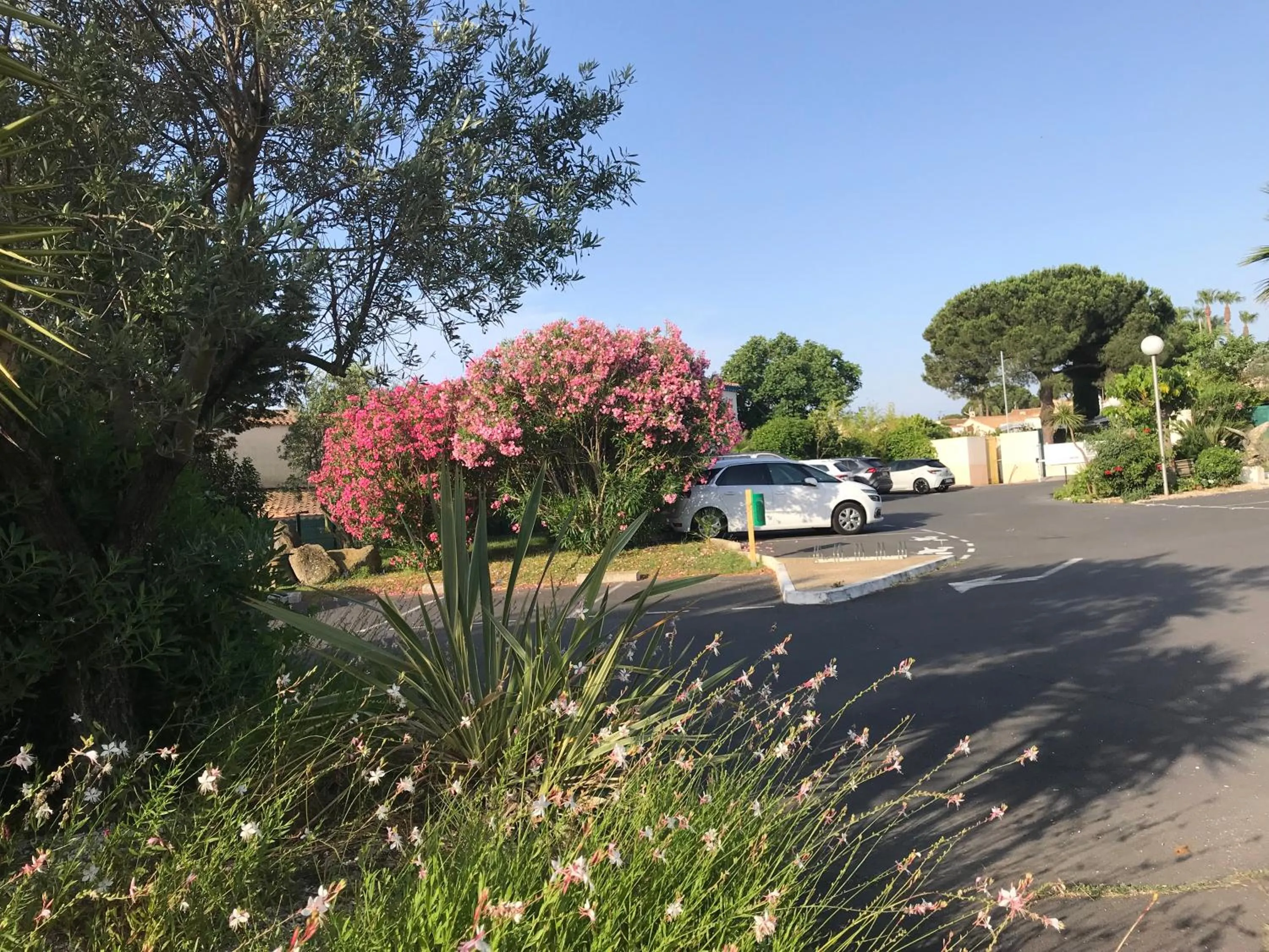 Brit Hotel Confort Hélios Agde