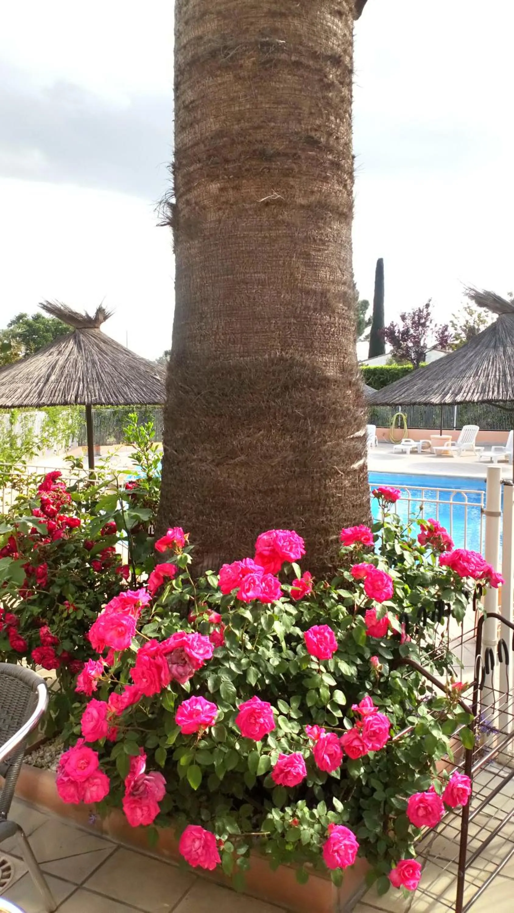 Patio in Brit Hotel Confort Hélios Agde