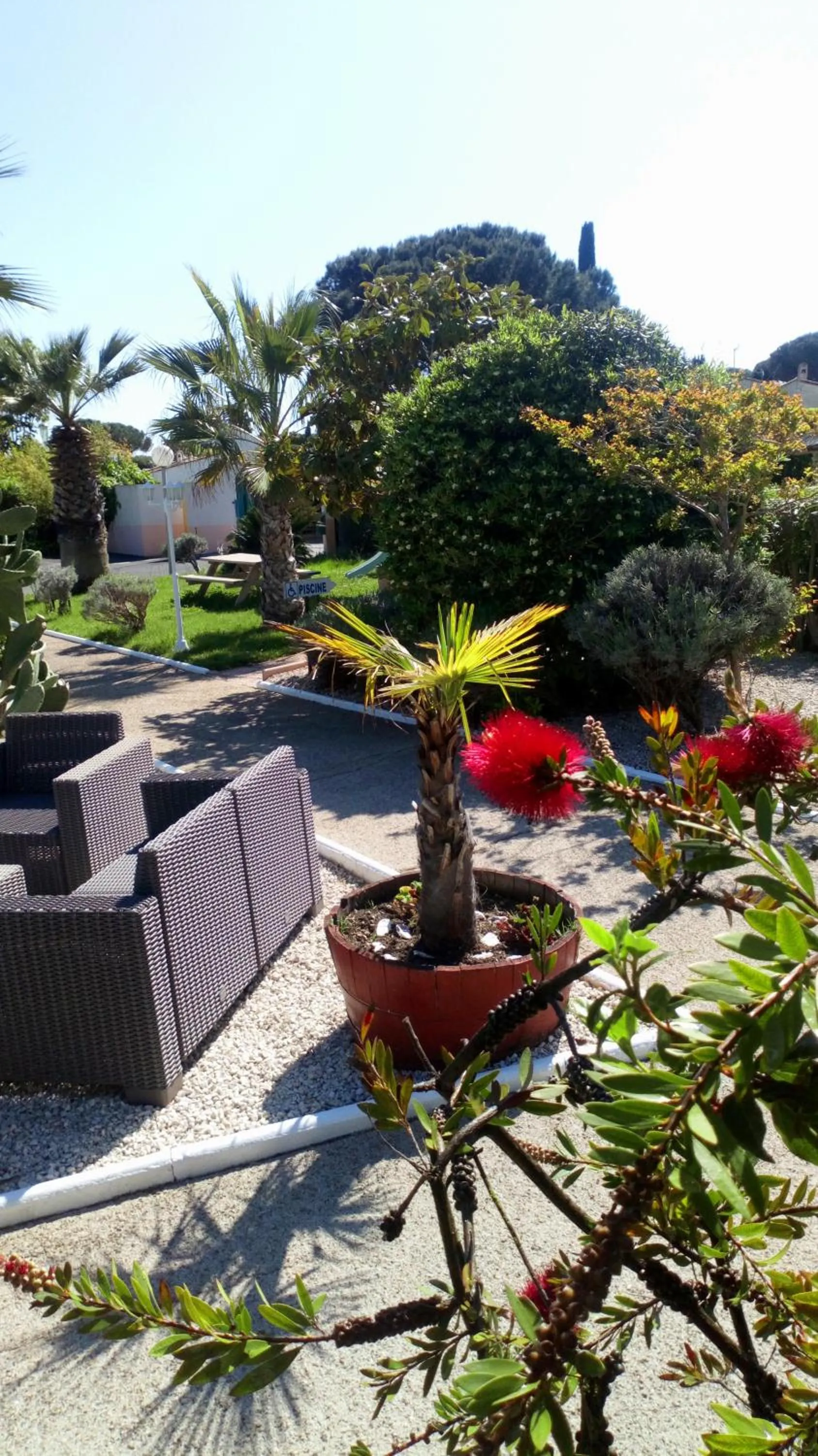 Garden in Brit Hotel Confort Hélios Agde