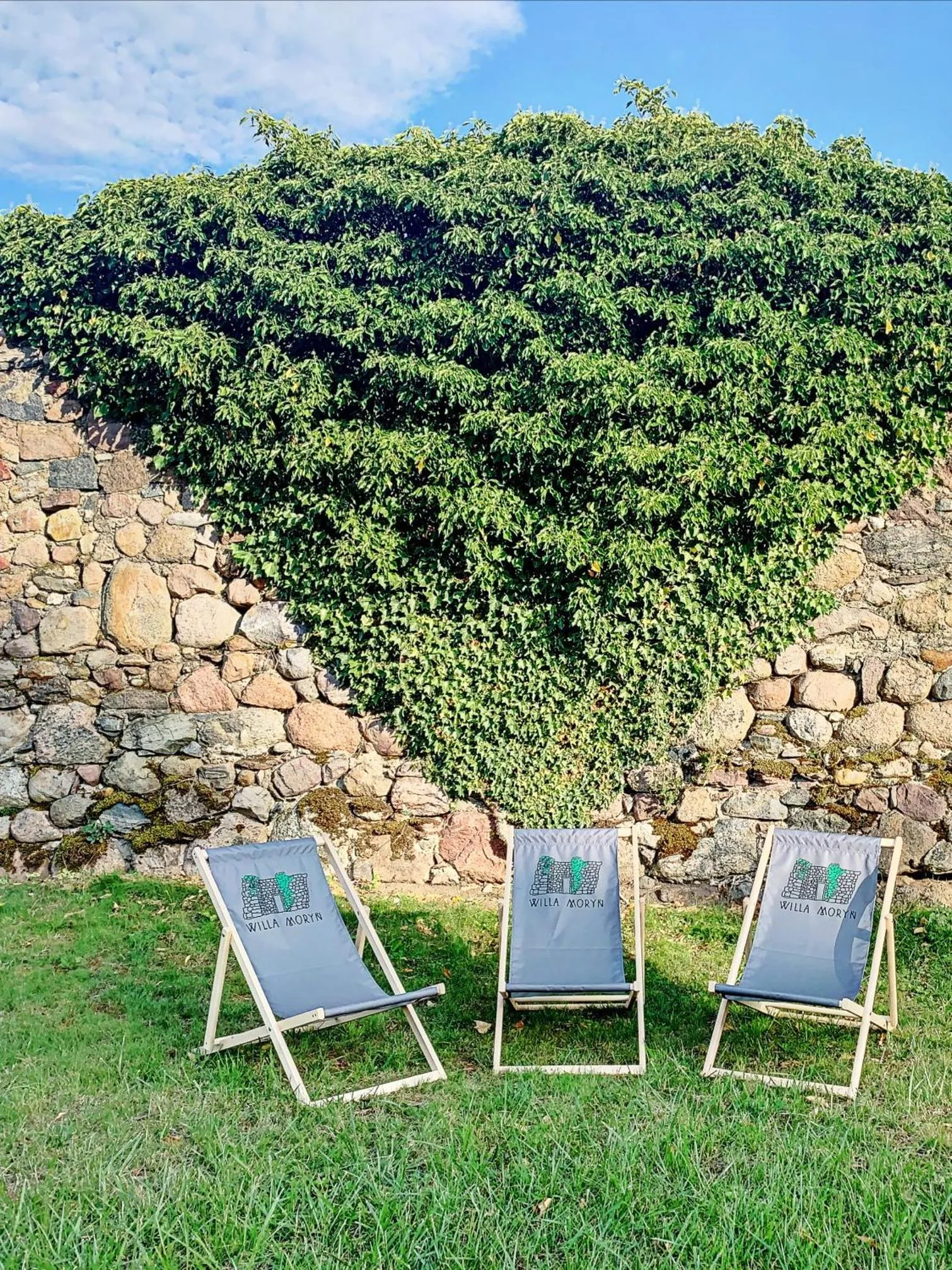 Garden in Willa Moryń