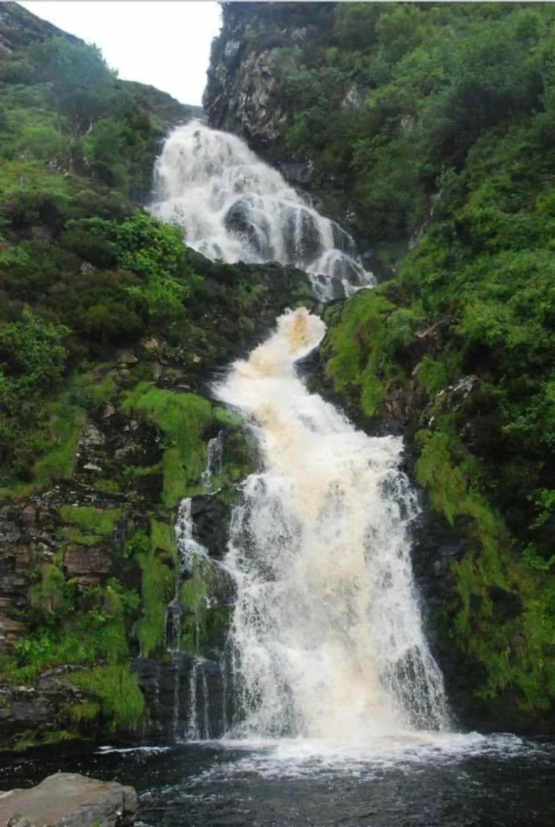 Natural landscape in Hillhead House, F94 F6N1
