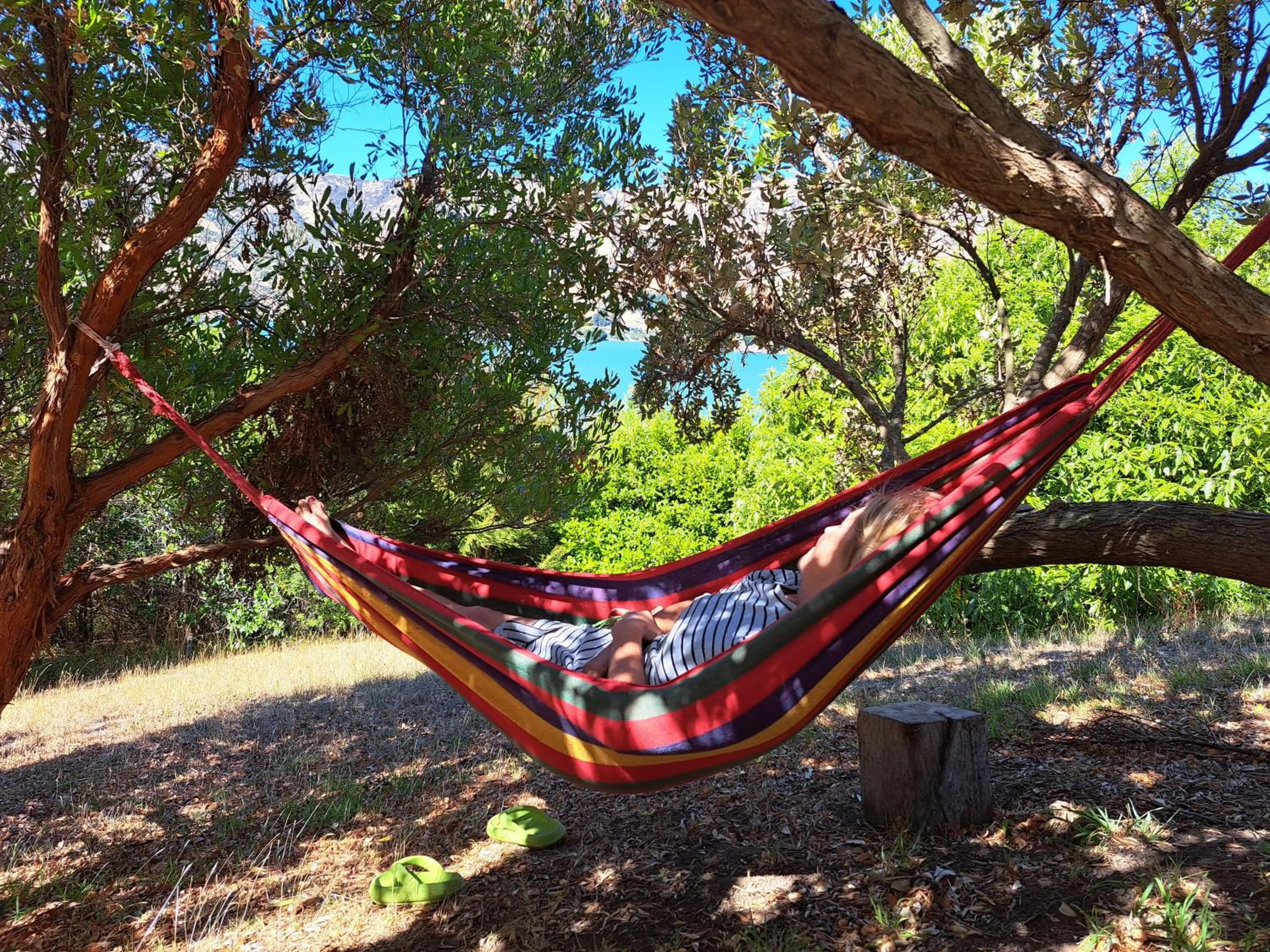 Sea view in Port Levy B & B Christchurch