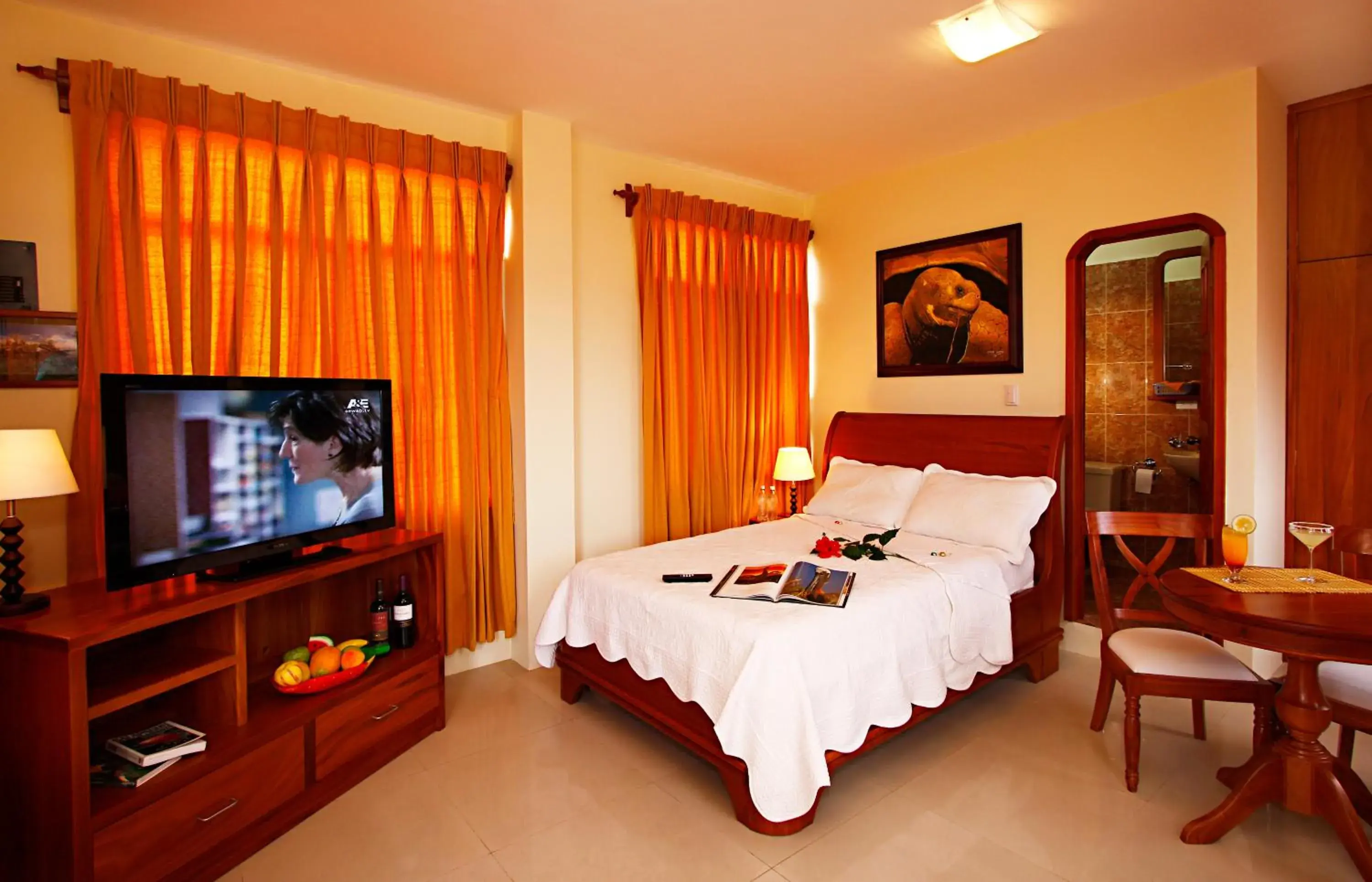 Single Room with Terrace in Hotel Del Sol Galapagos Single Room with Terrace in Hotel Del Sol Galapagos