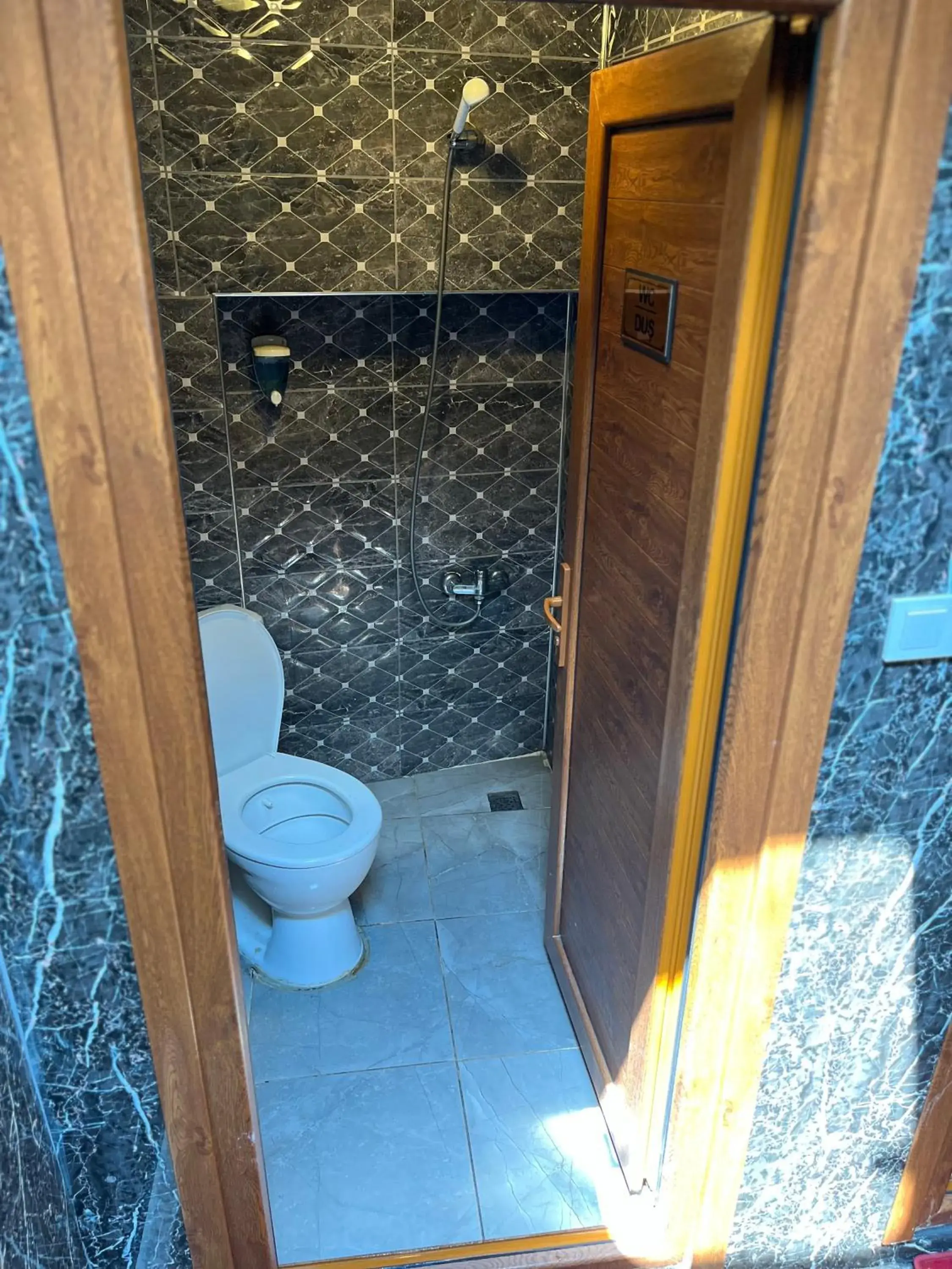 Toilet in Metropol hotel 2 Toilet in Metropol hotel 2