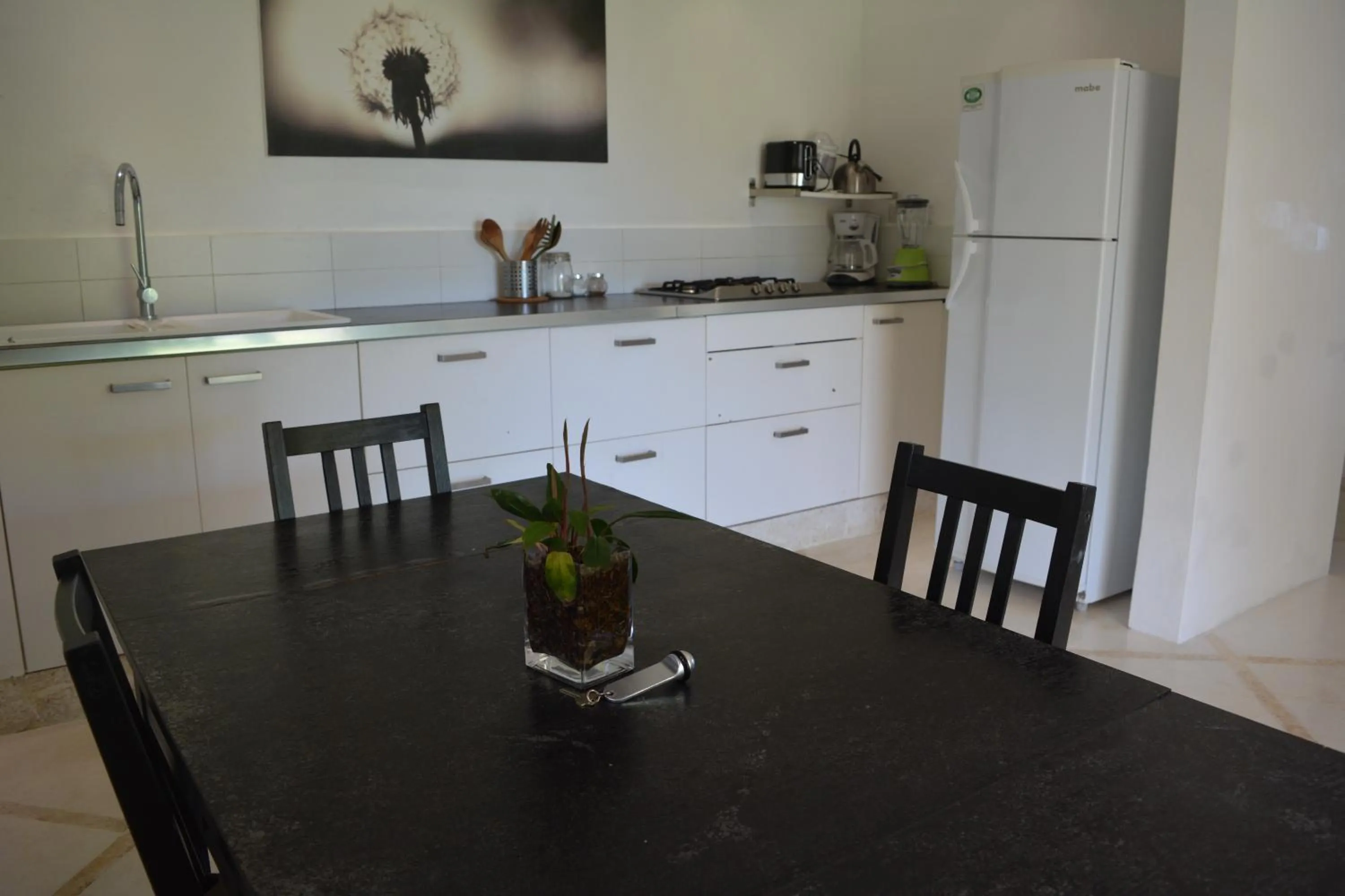 Kitchen or kitchenette in Villa Noria