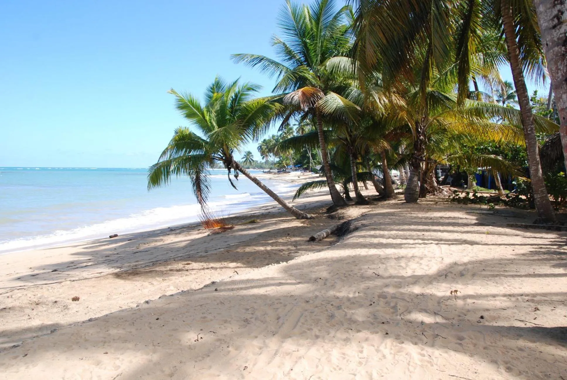 Beach in Villa Noria