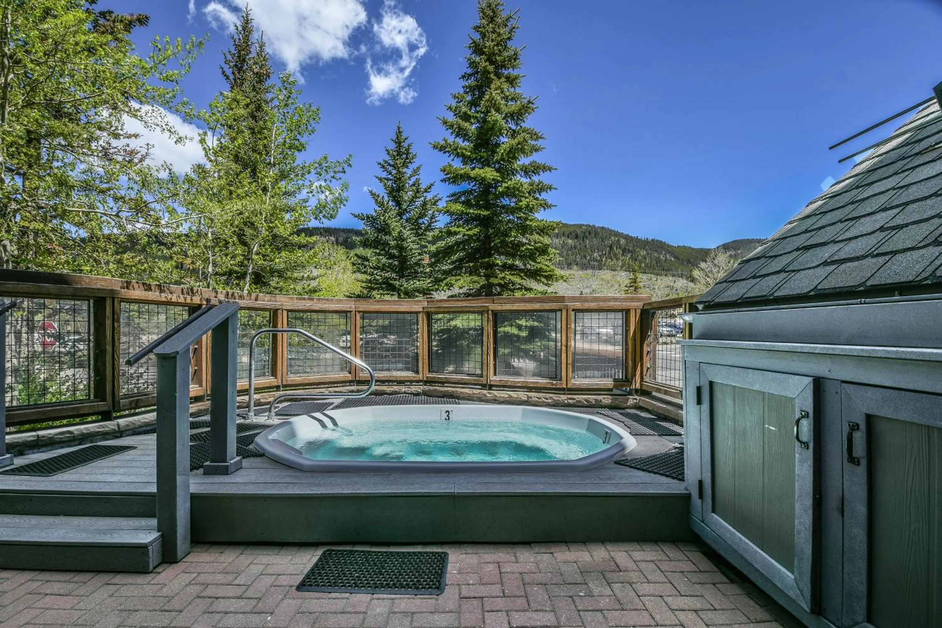 Buffalo Lodge 8419 by SummitCove Lodging