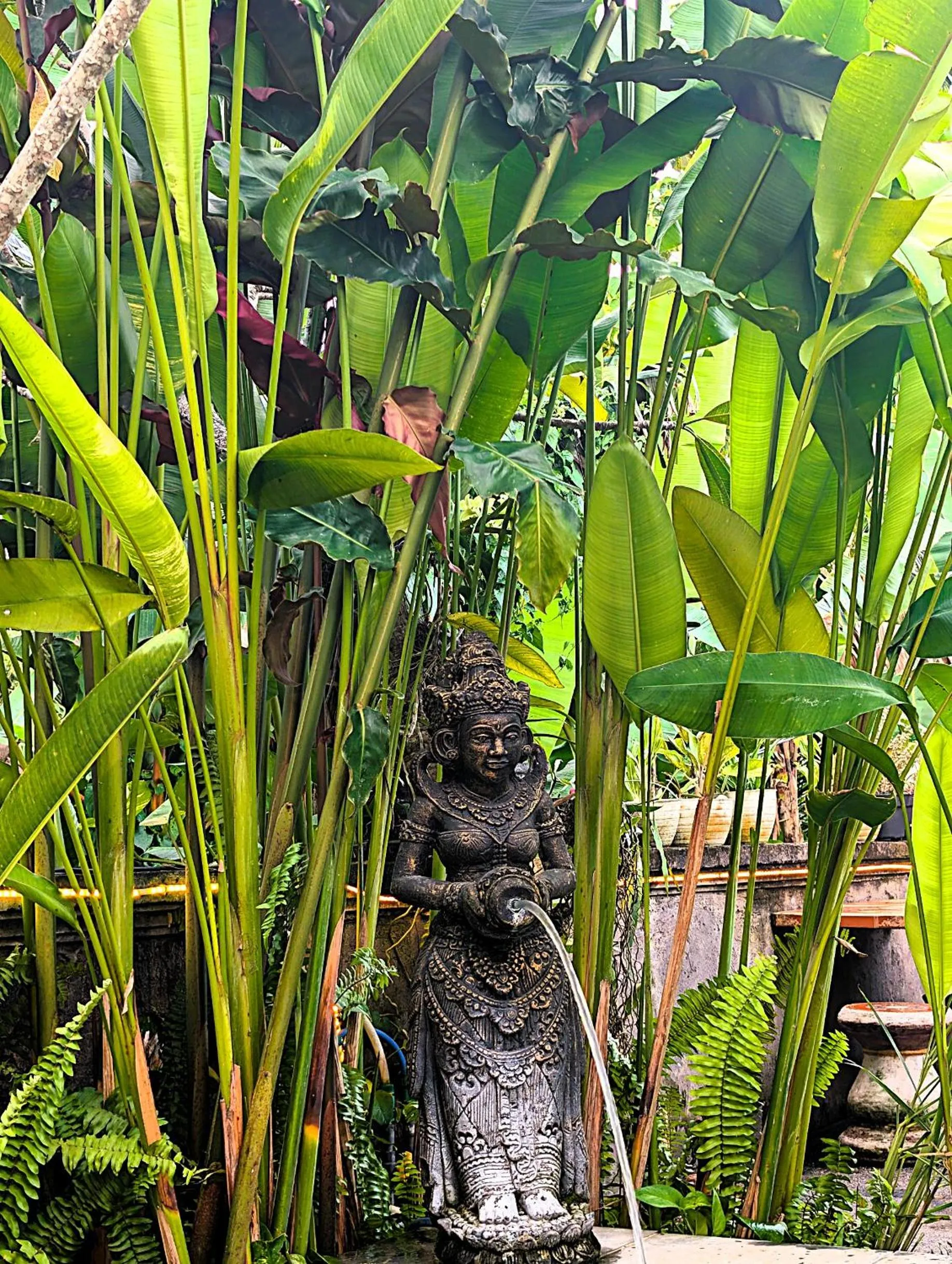 Garden in Ayumar Homestay Medewi