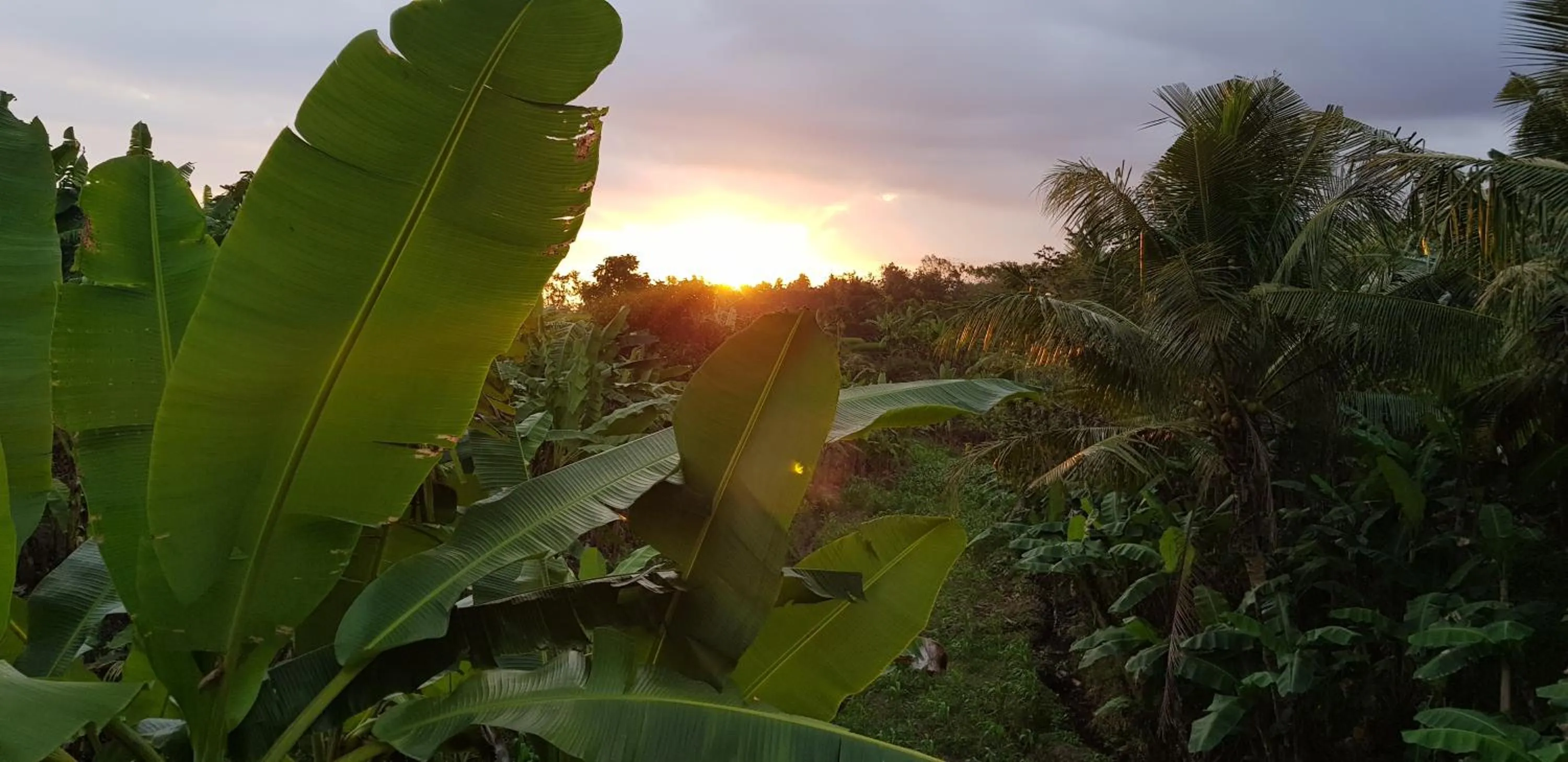 Natural landscape in Ayumar Homestay Medewi