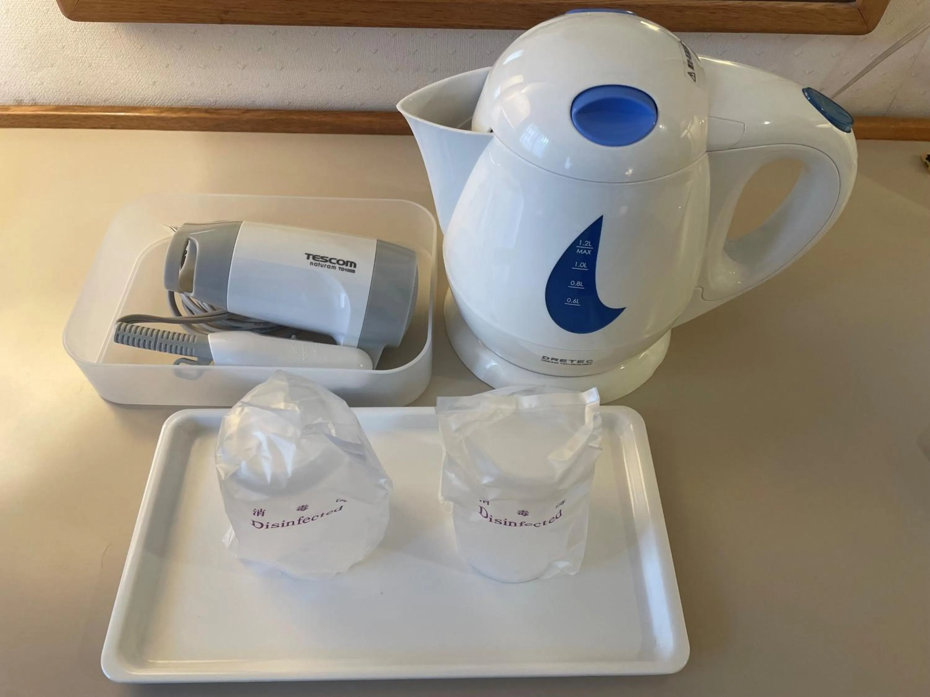 hair dryier in Hotel Tetora Makuhari Inagekaigan (Formerly Business Hotel Marine)