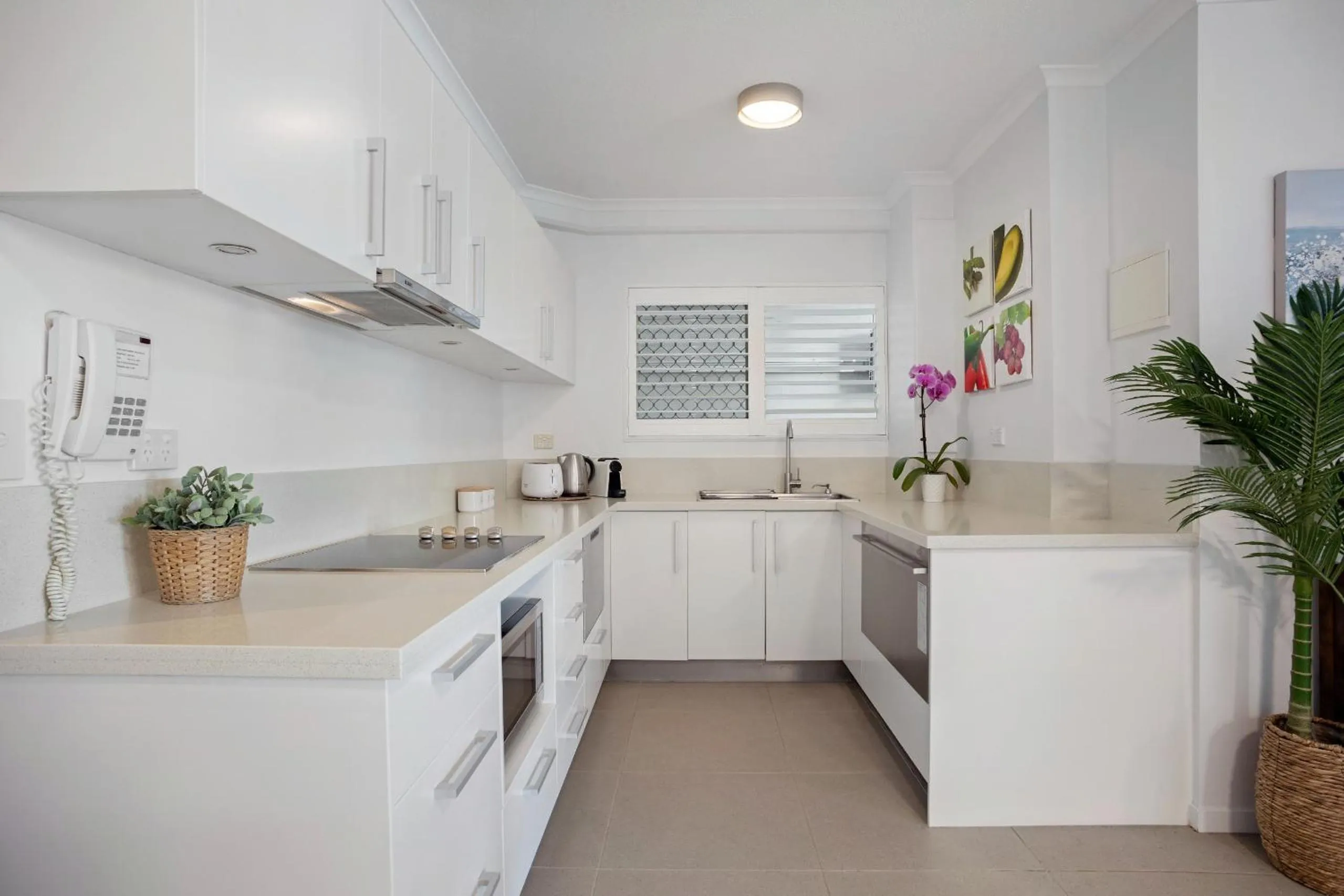 Kitchen or kitchenette in #2 Hastings Street