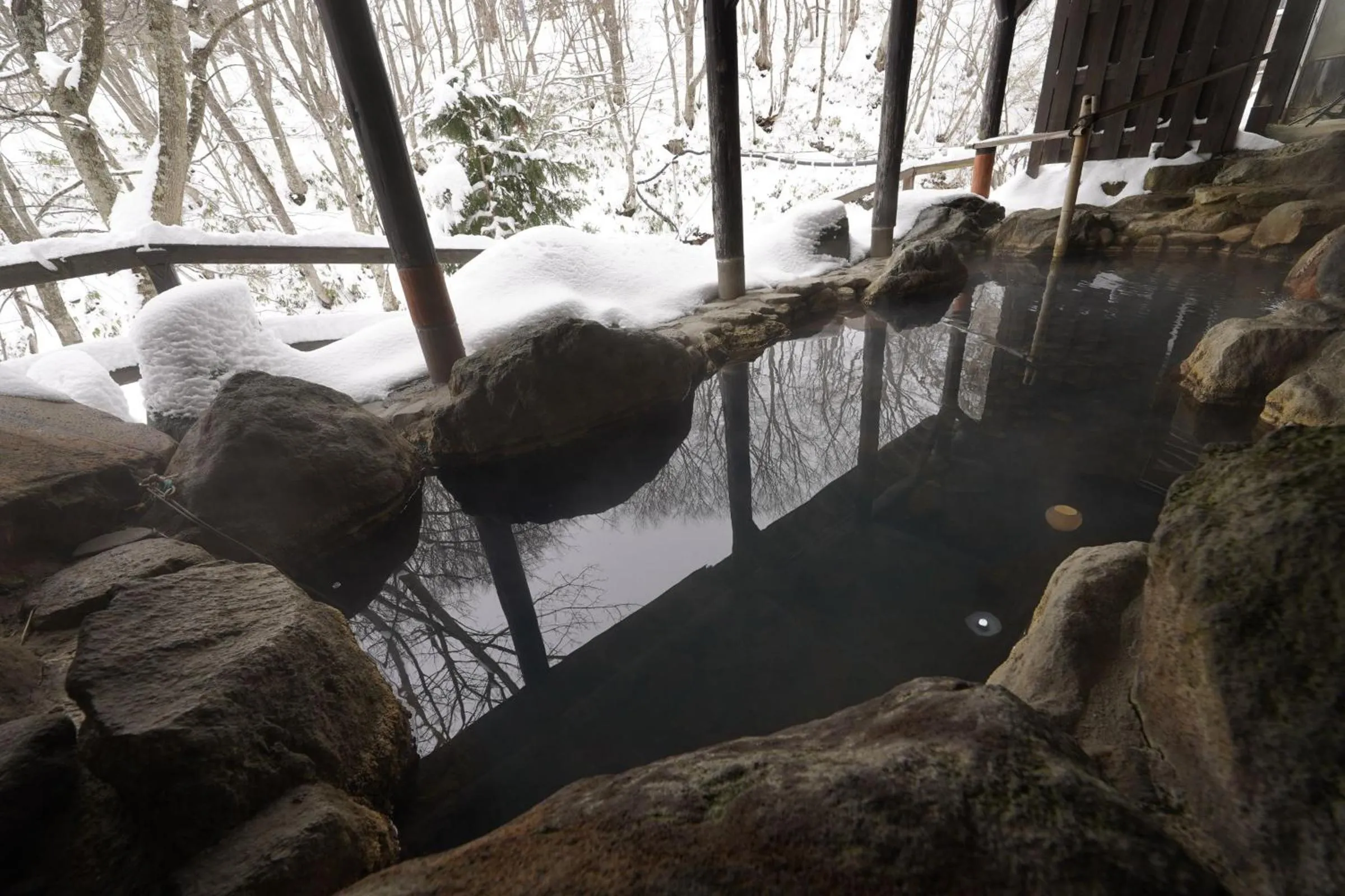 Hot Spring Bath in Mori no RyoTei Mount Bandai