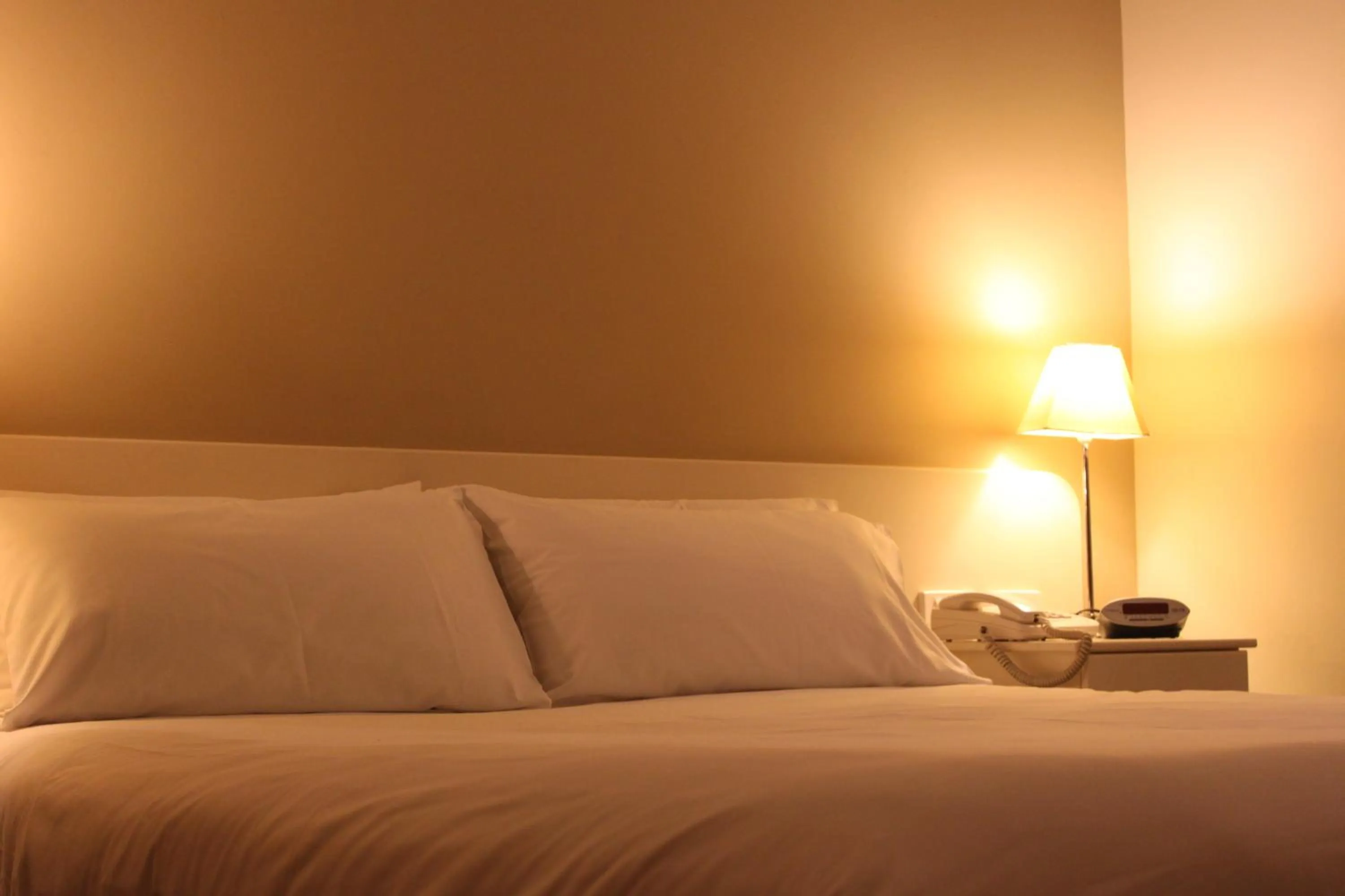 Mount Gambier International