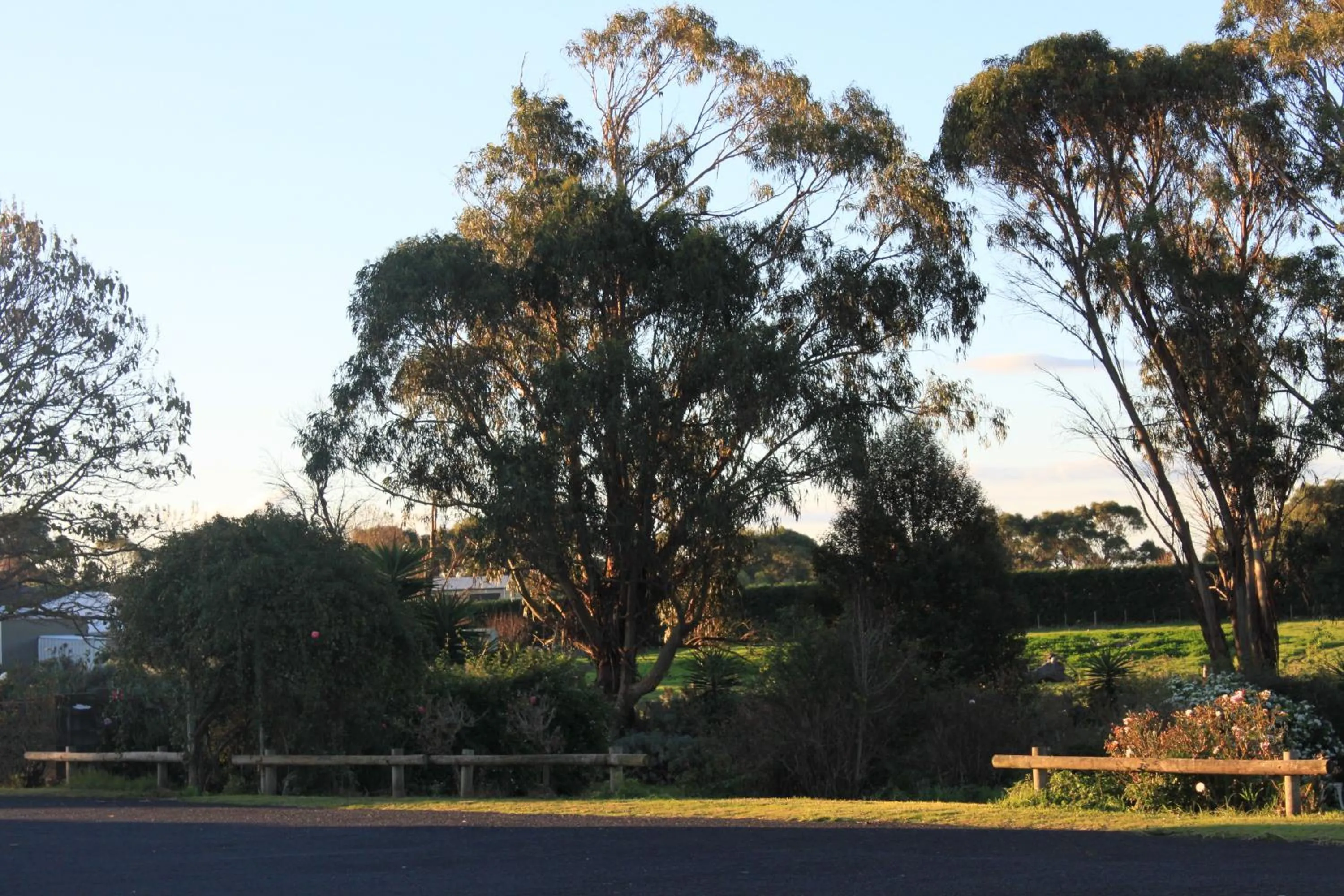 Garden view, Garden in Mount Gambier International