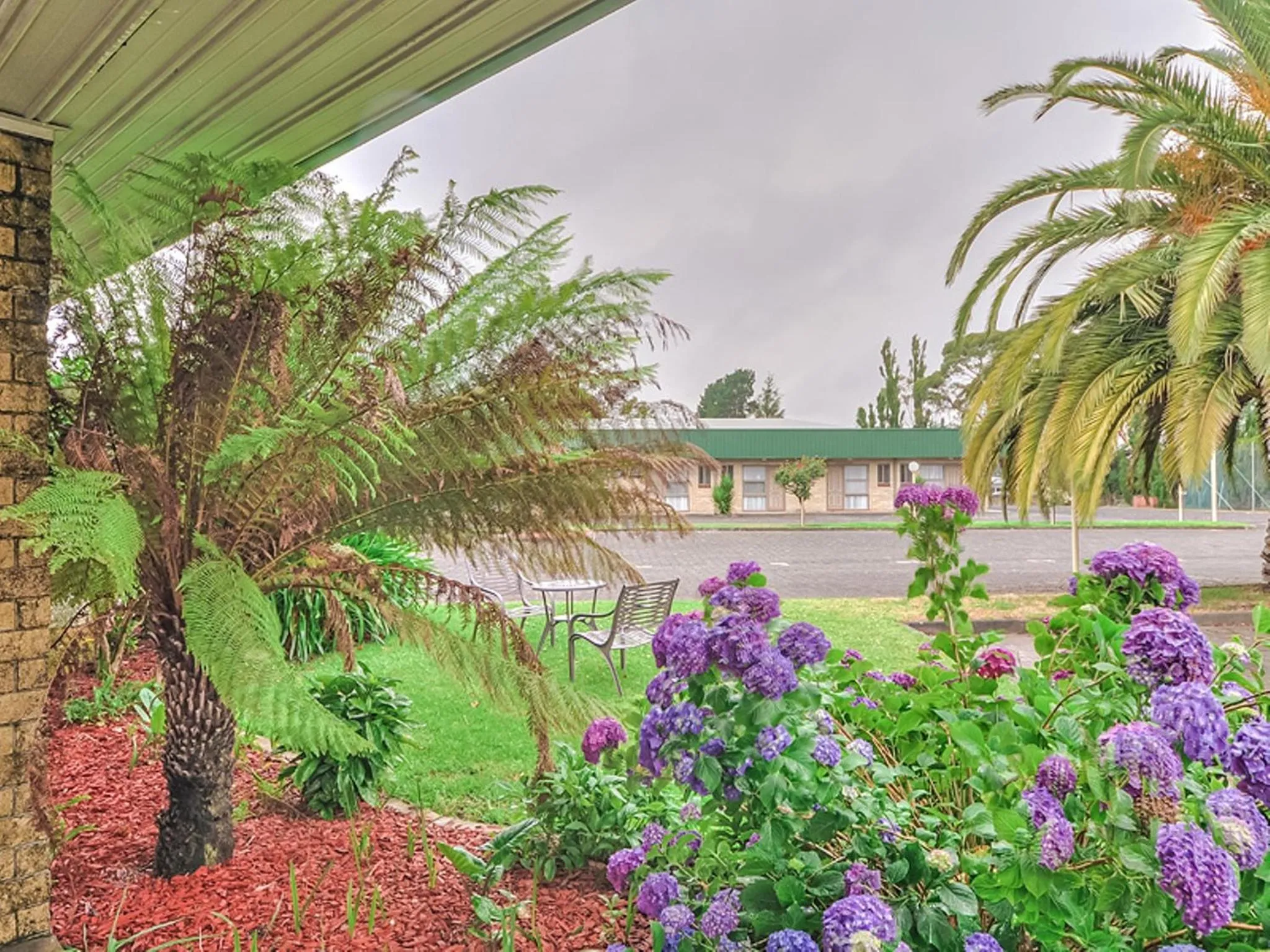 Spring in Mount Gambier International