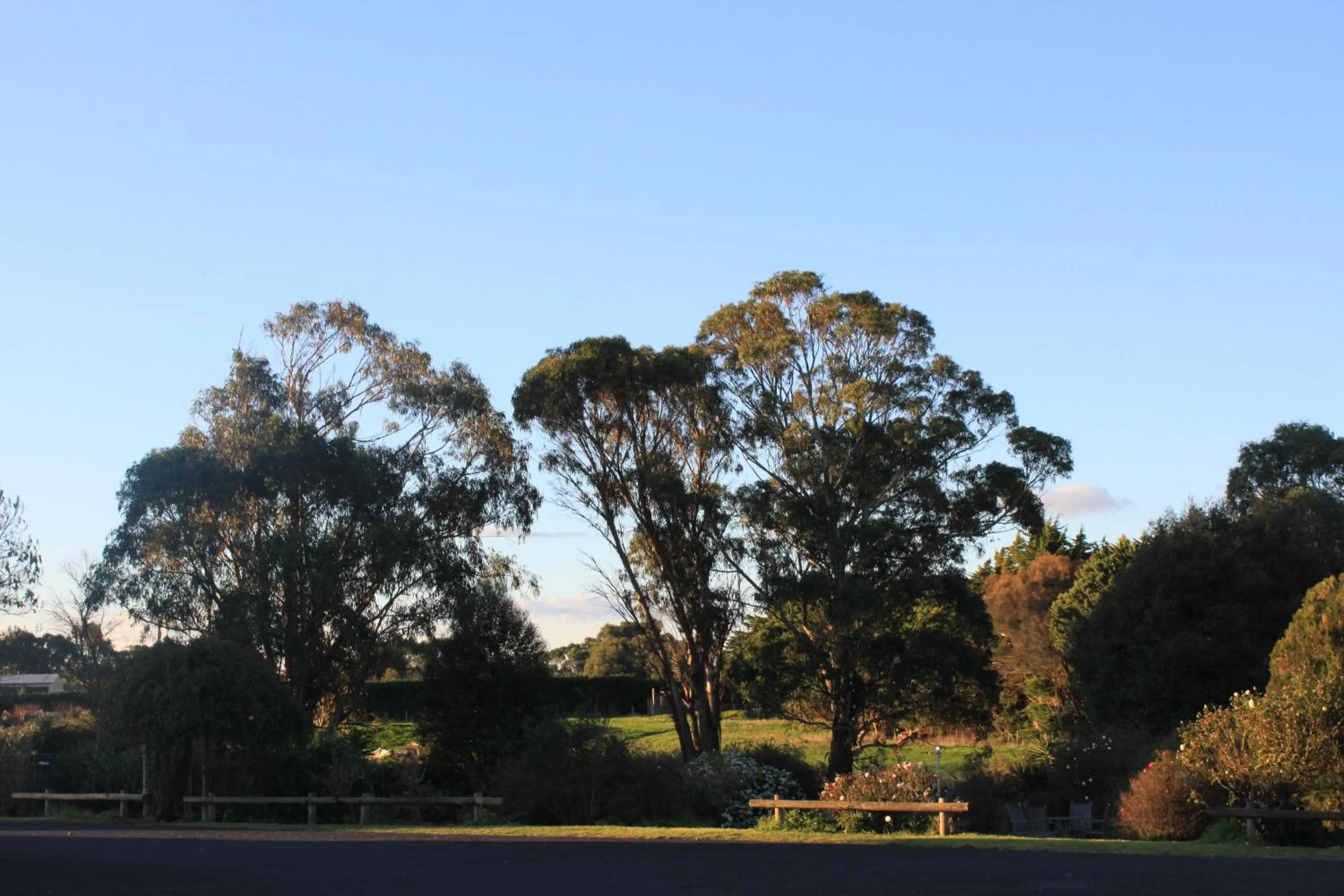 Garden view in Mount Gambier International