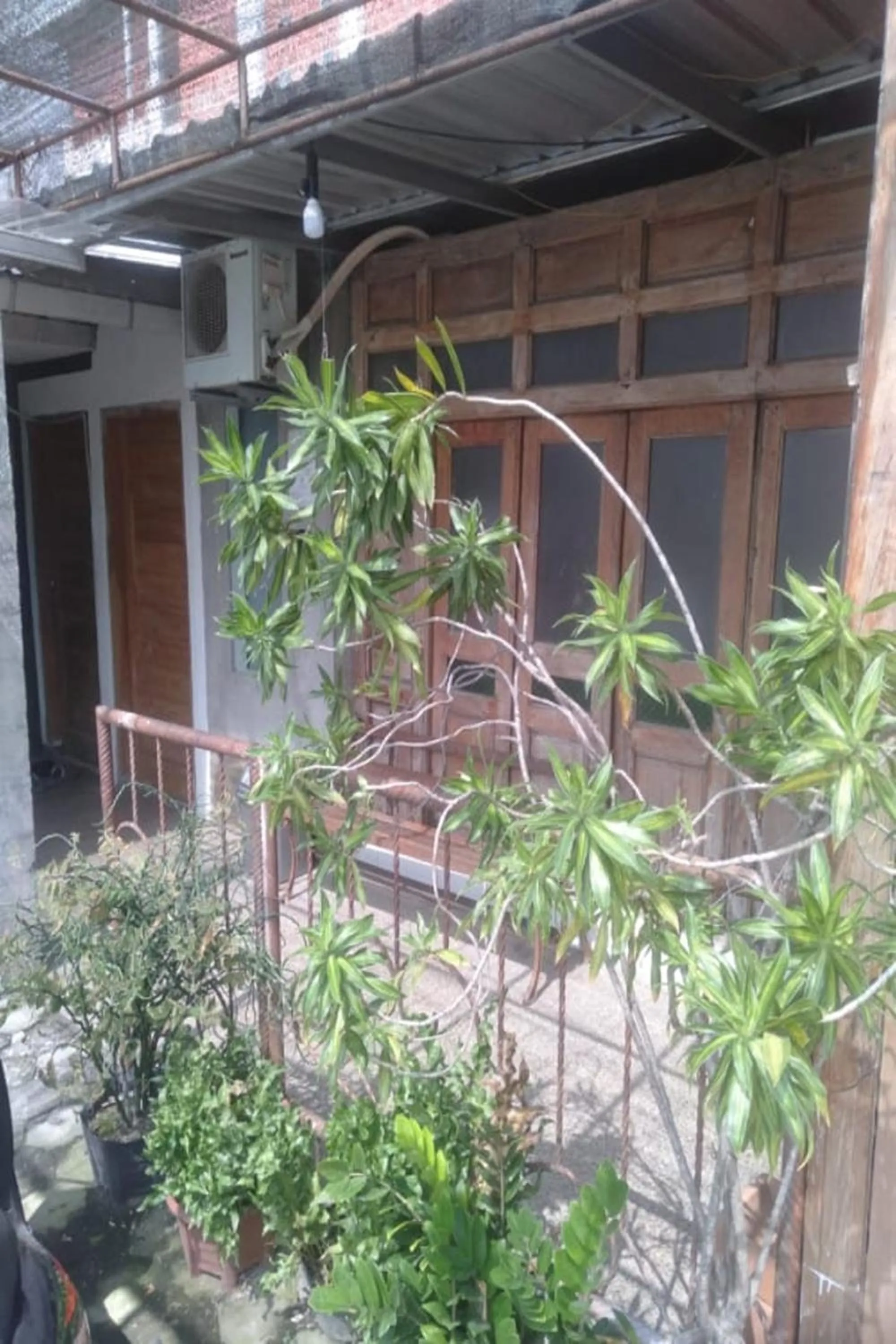 View (from property/room) in Kalingga Sekar Yogyakarta