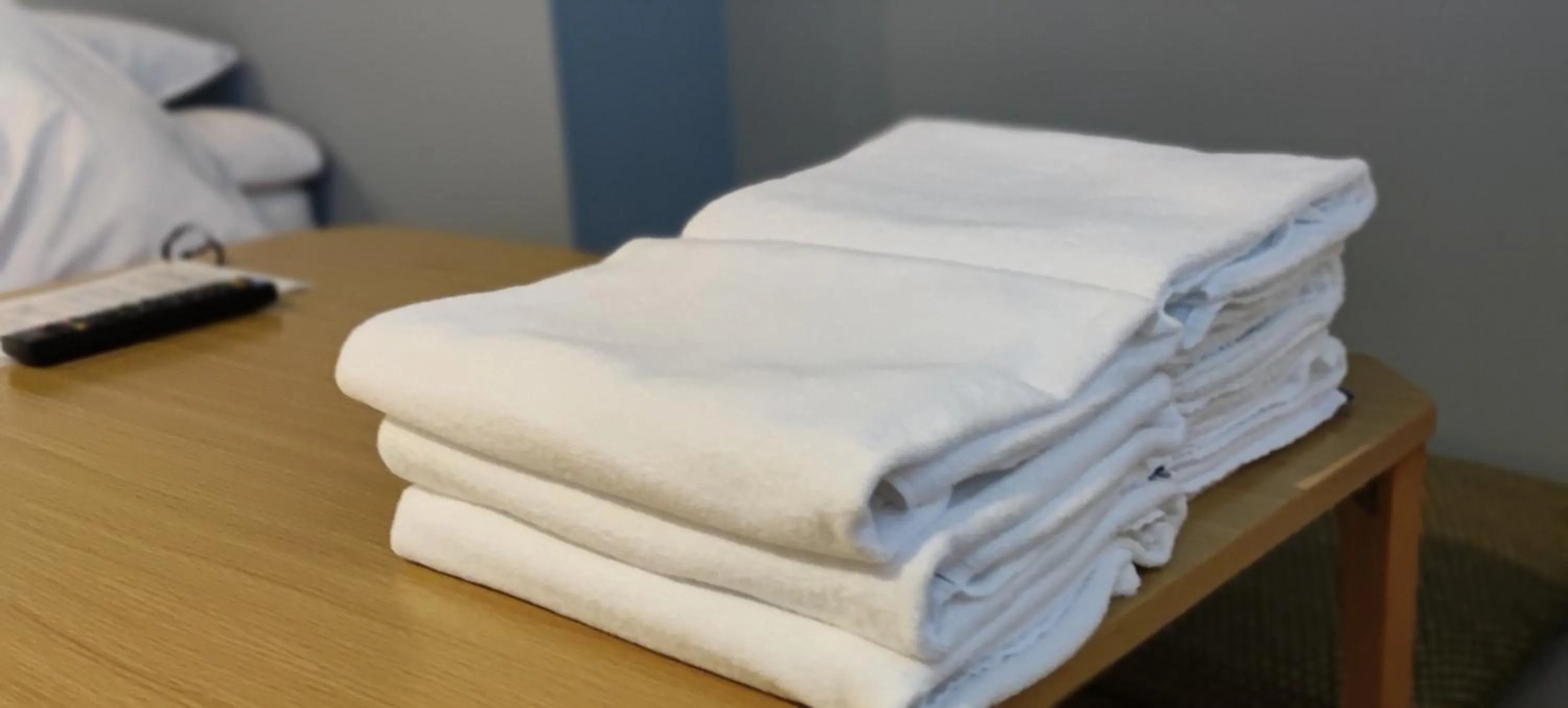 Photo of the whole room in Iwatoyama Hostel