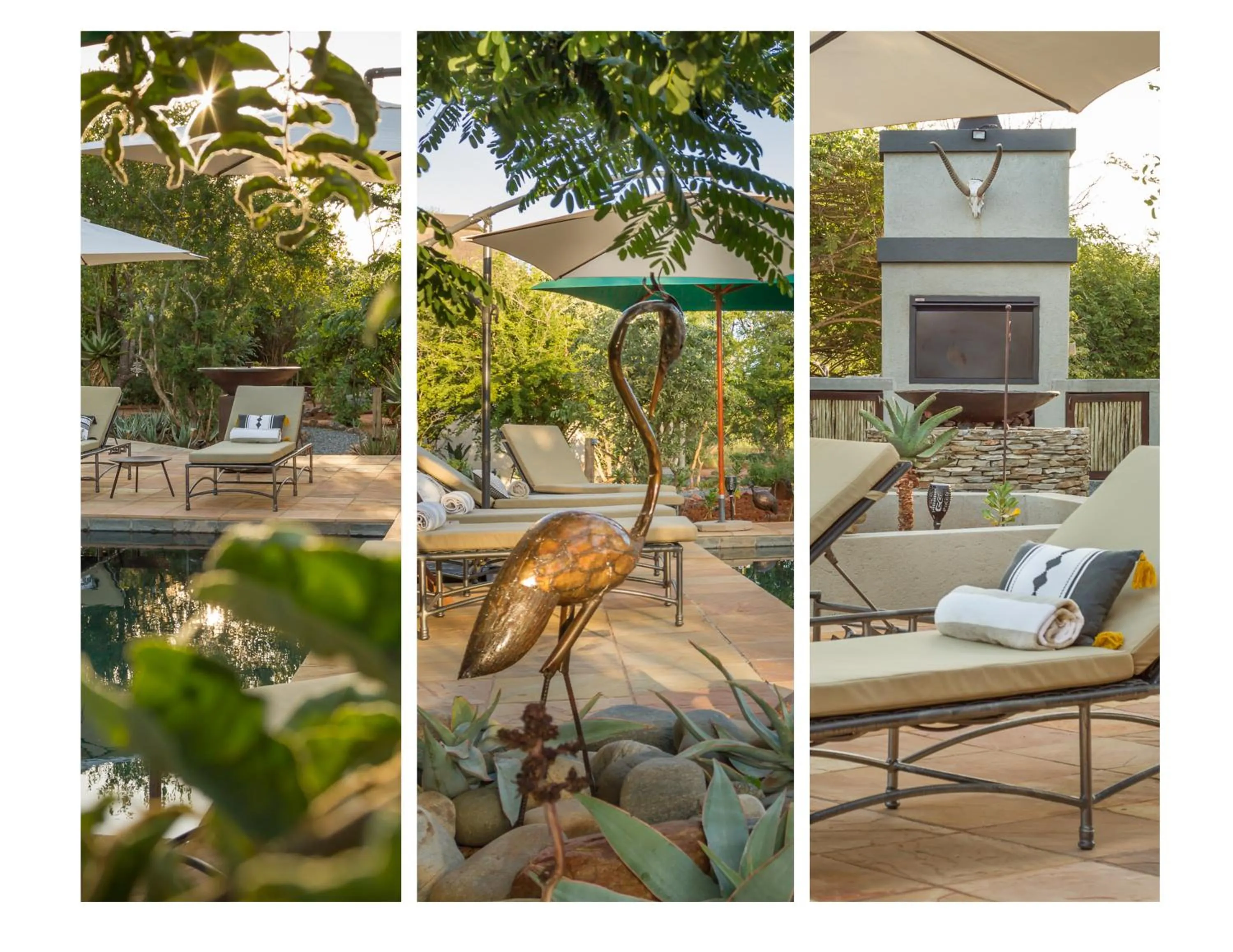 Garden in Ukuthula Bush Lodge