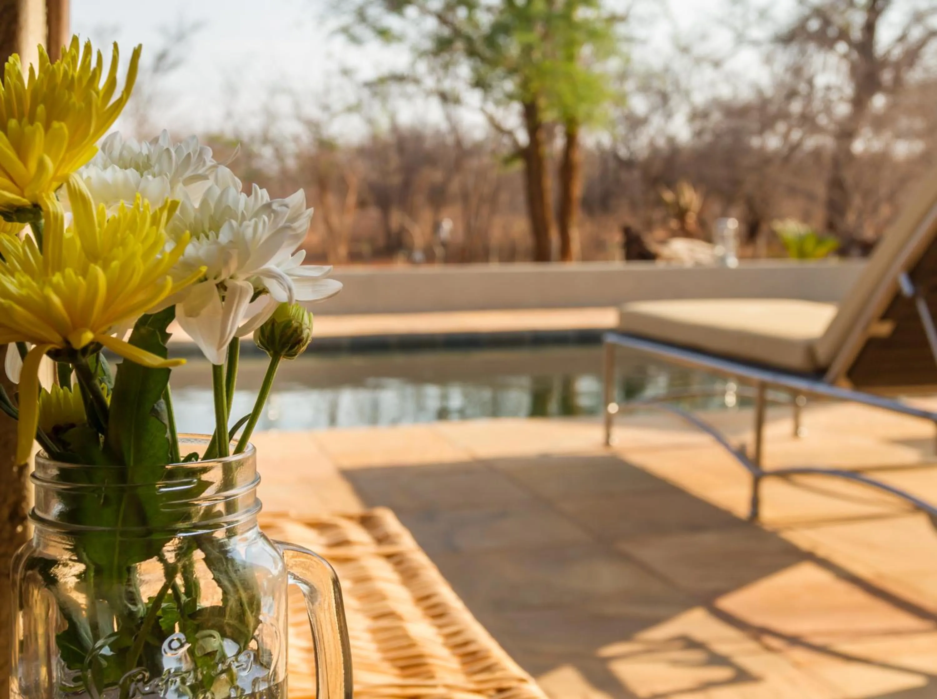 Natural landscape in Ukuthula Bush Lodge