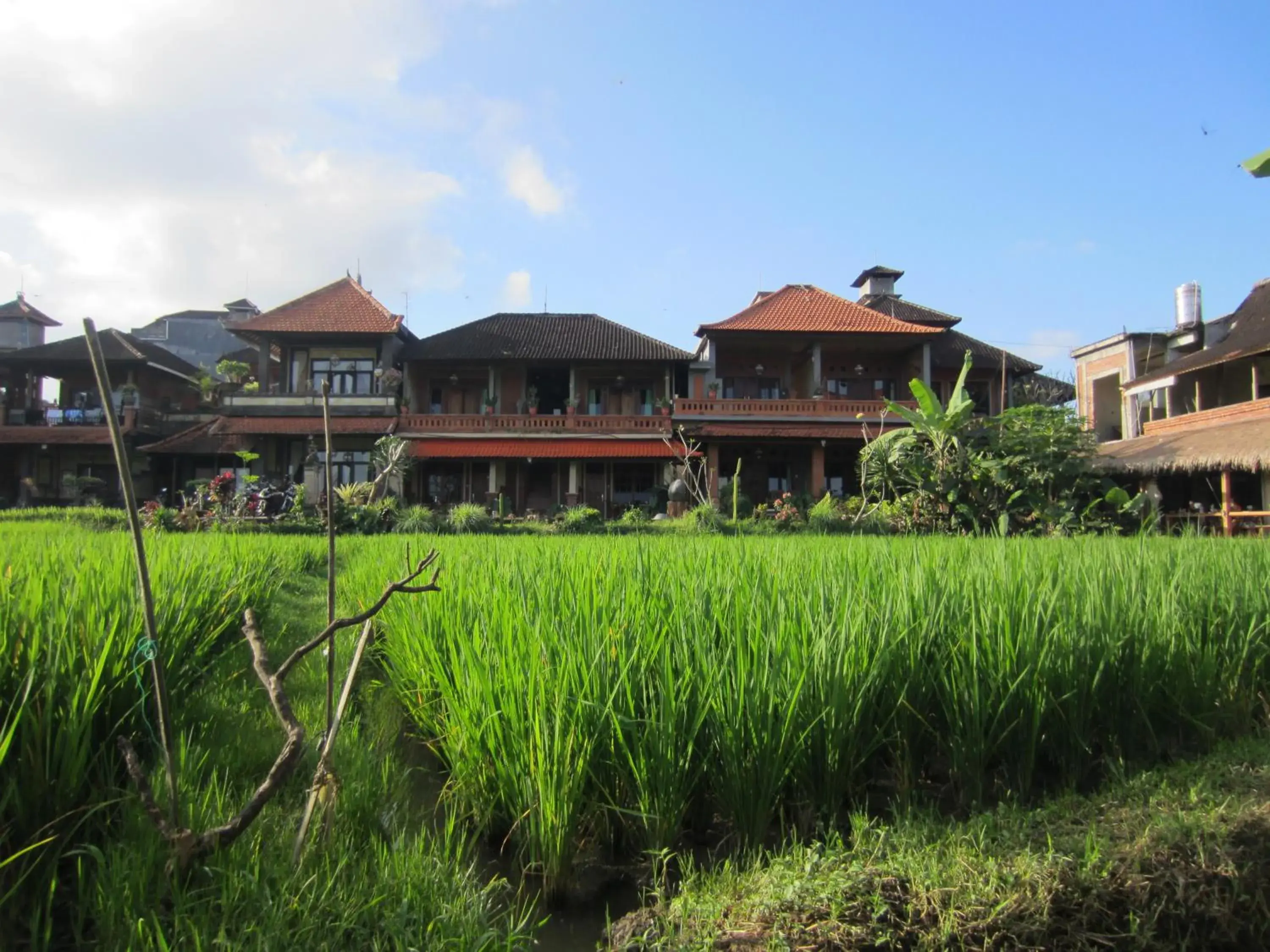 Property Building in Danasari Homestay