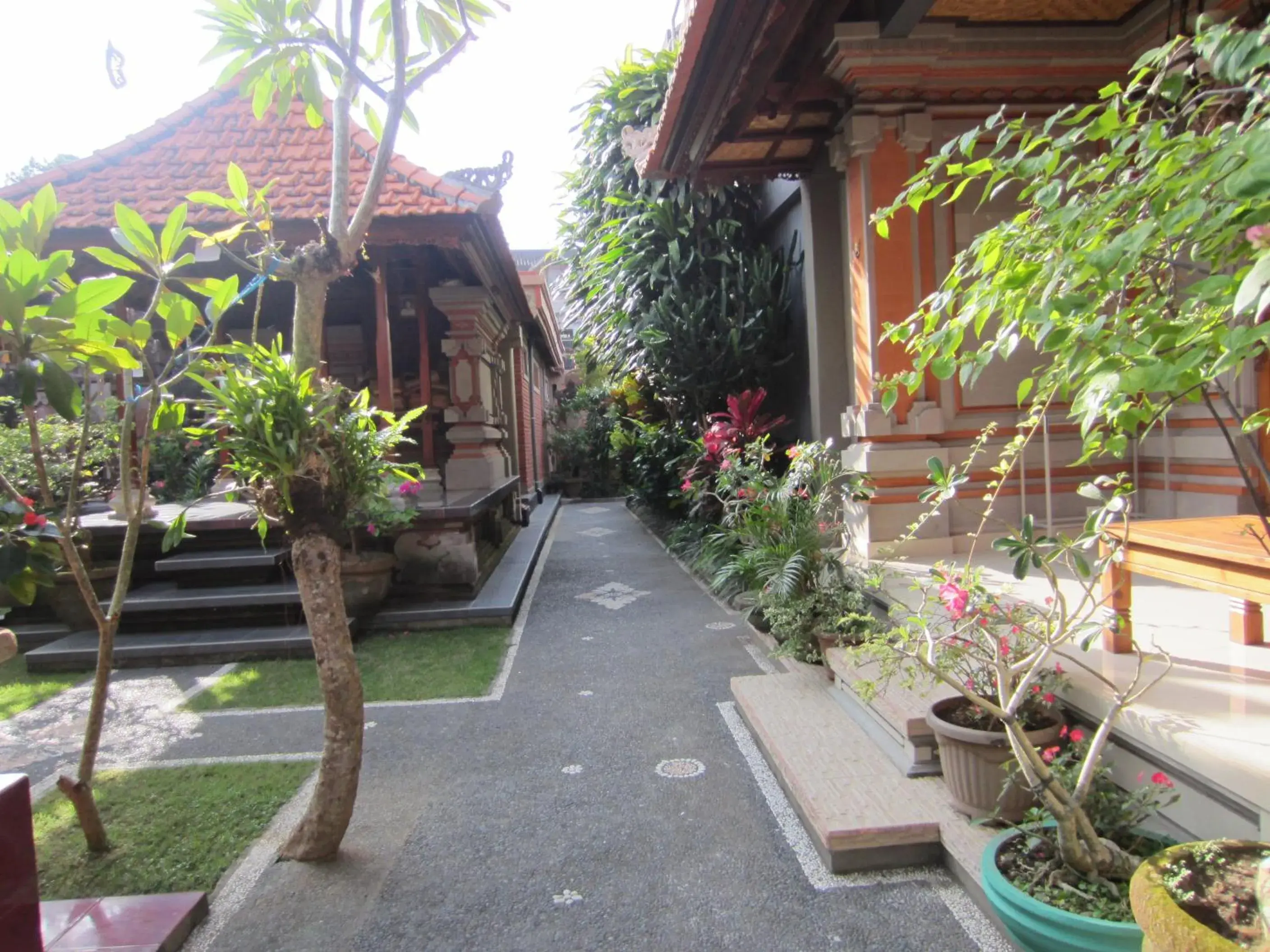 Garden, Property Building in Danasari Homestay