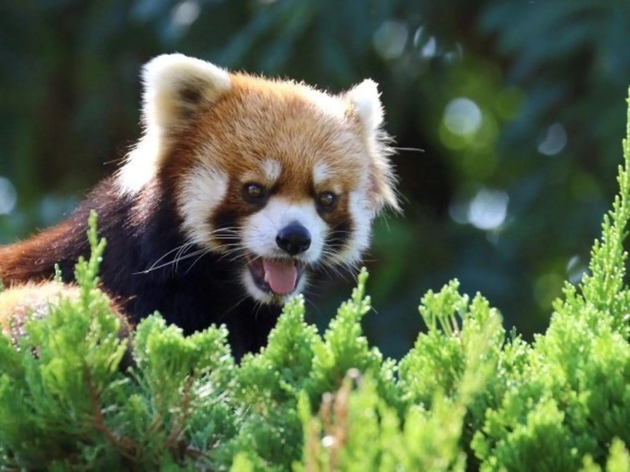 Nearby landmark in Yumihari-no-Oka Hotel